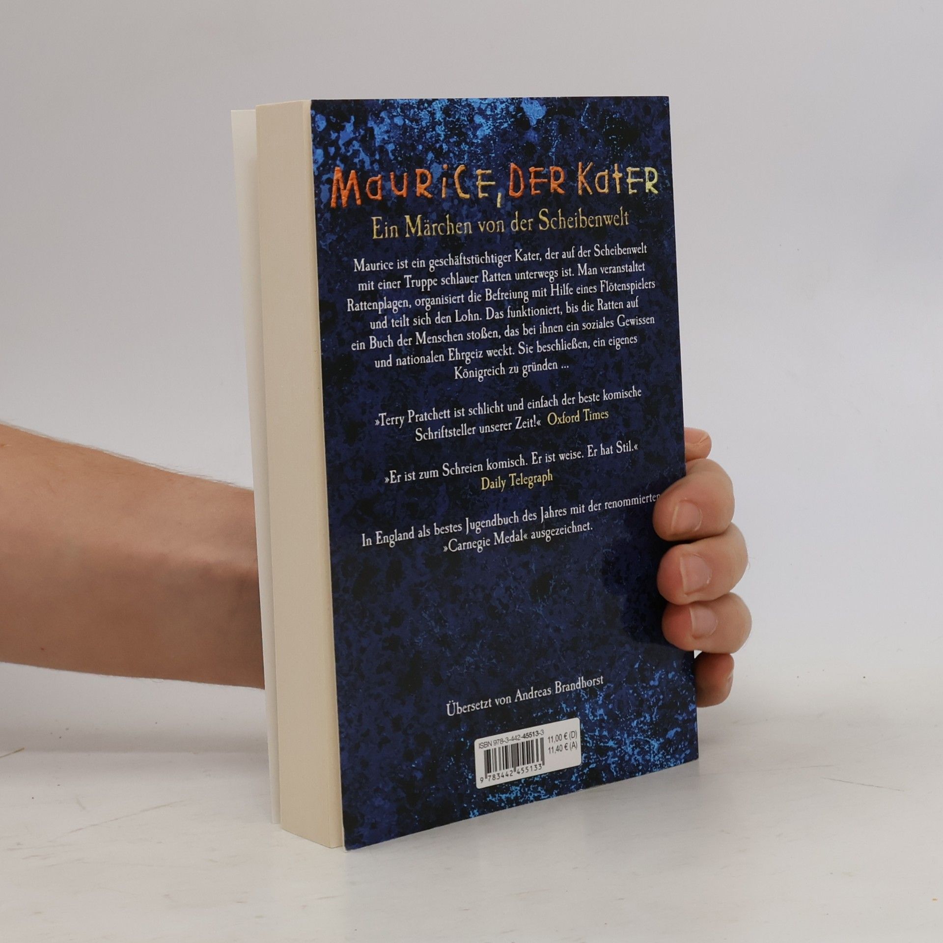 Terry Pratchett Maurice, der Kater