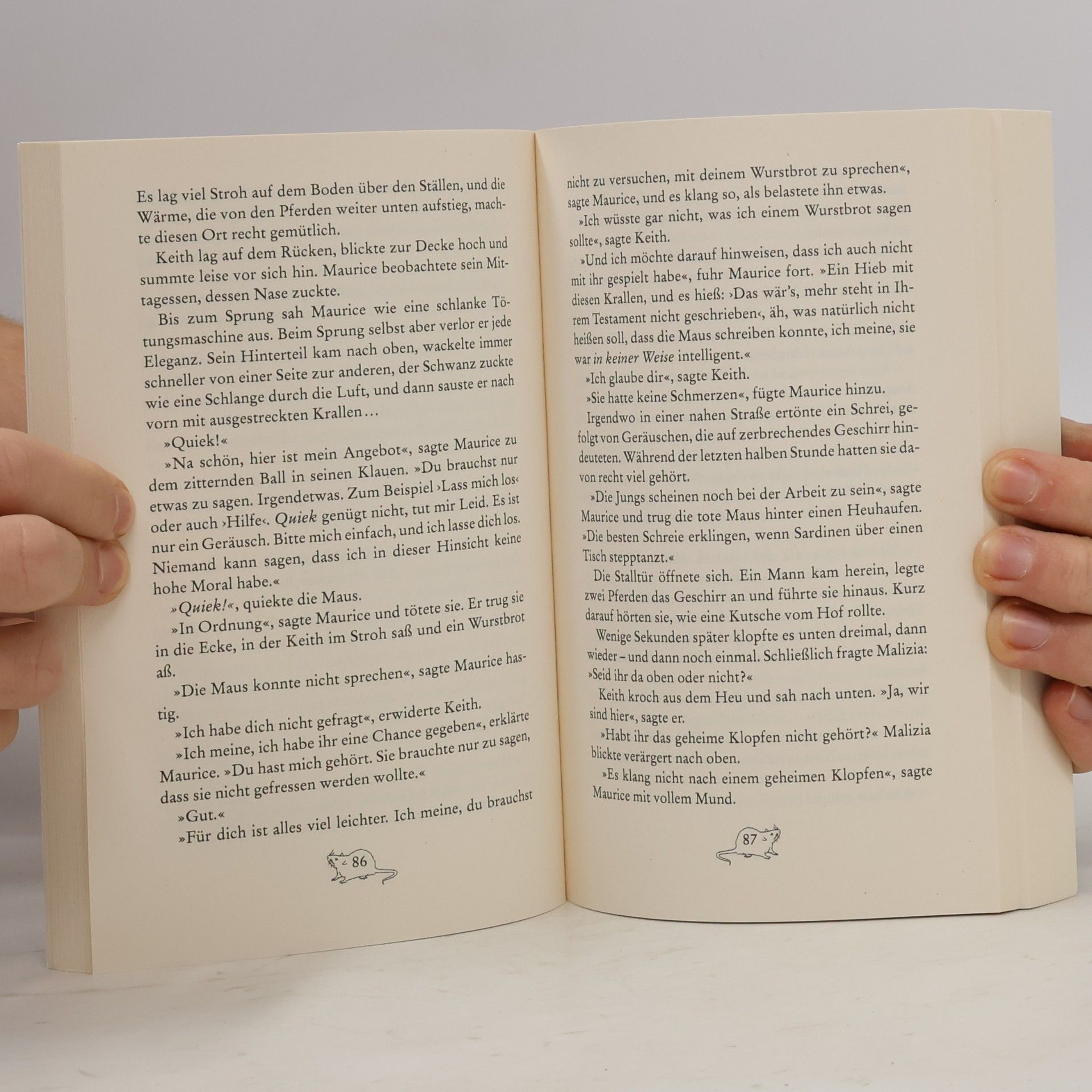 Terry Pratchett Maurice, der Kater