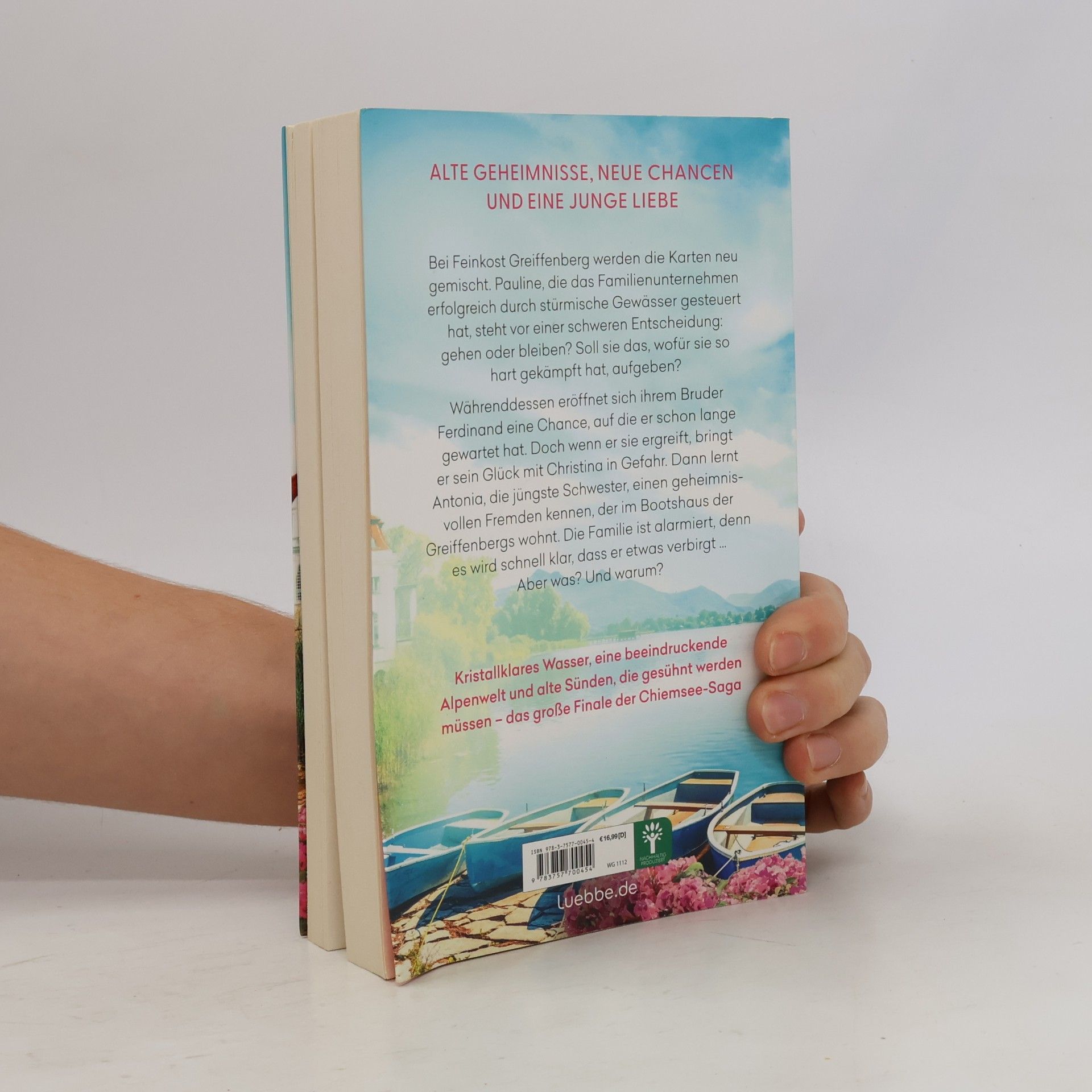 Isabell Schönhoff Hoffnungsvolle Aussichten / Das Erbe der Greiffenbergs Bd.3