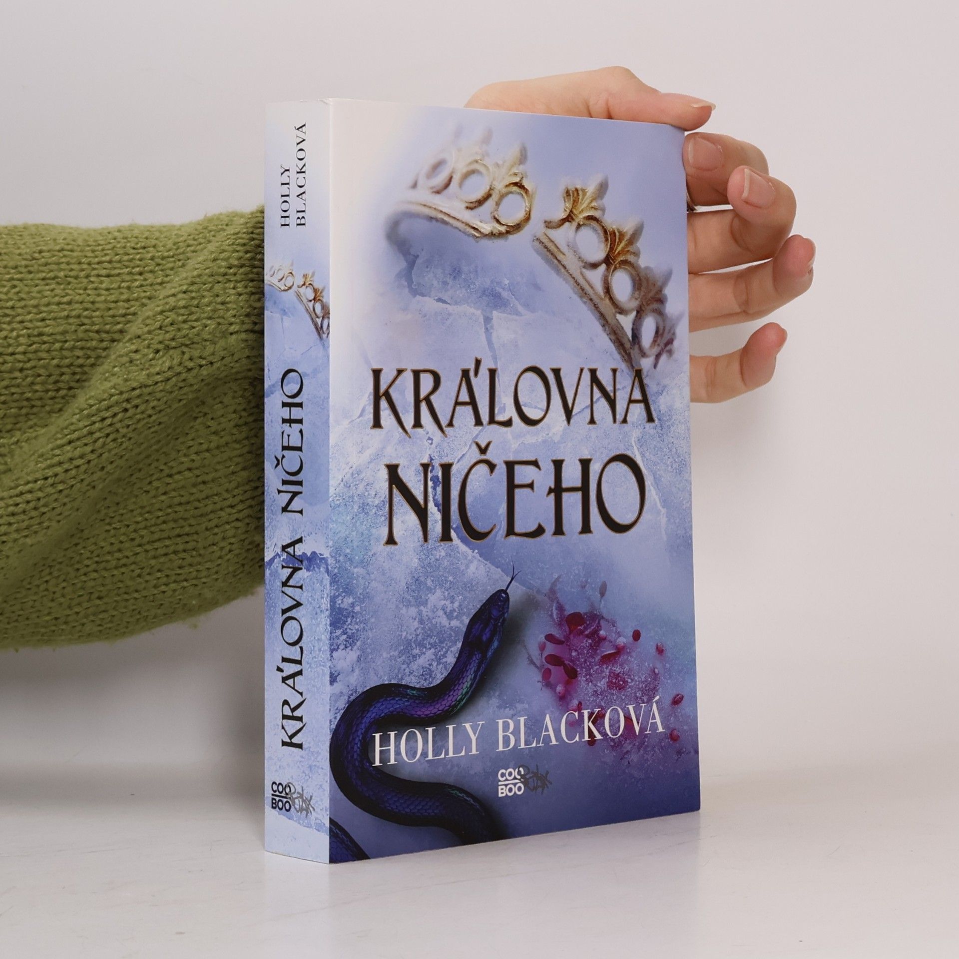 Holly Black Královna ničeho