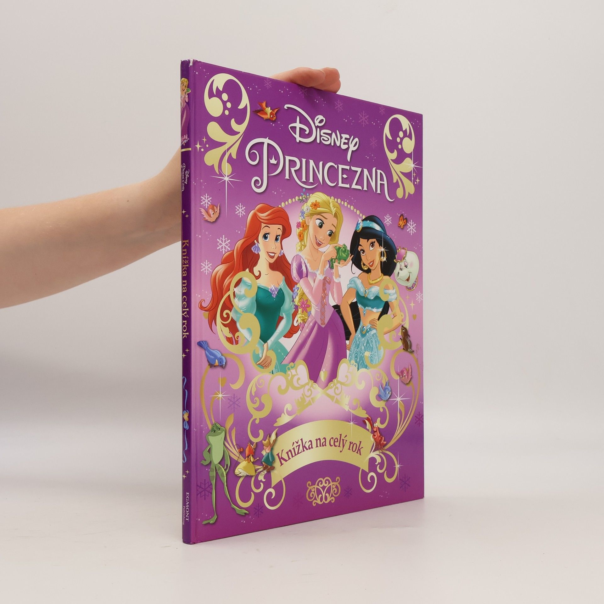 Walt Disney Princezna - Knížka na celý rok
