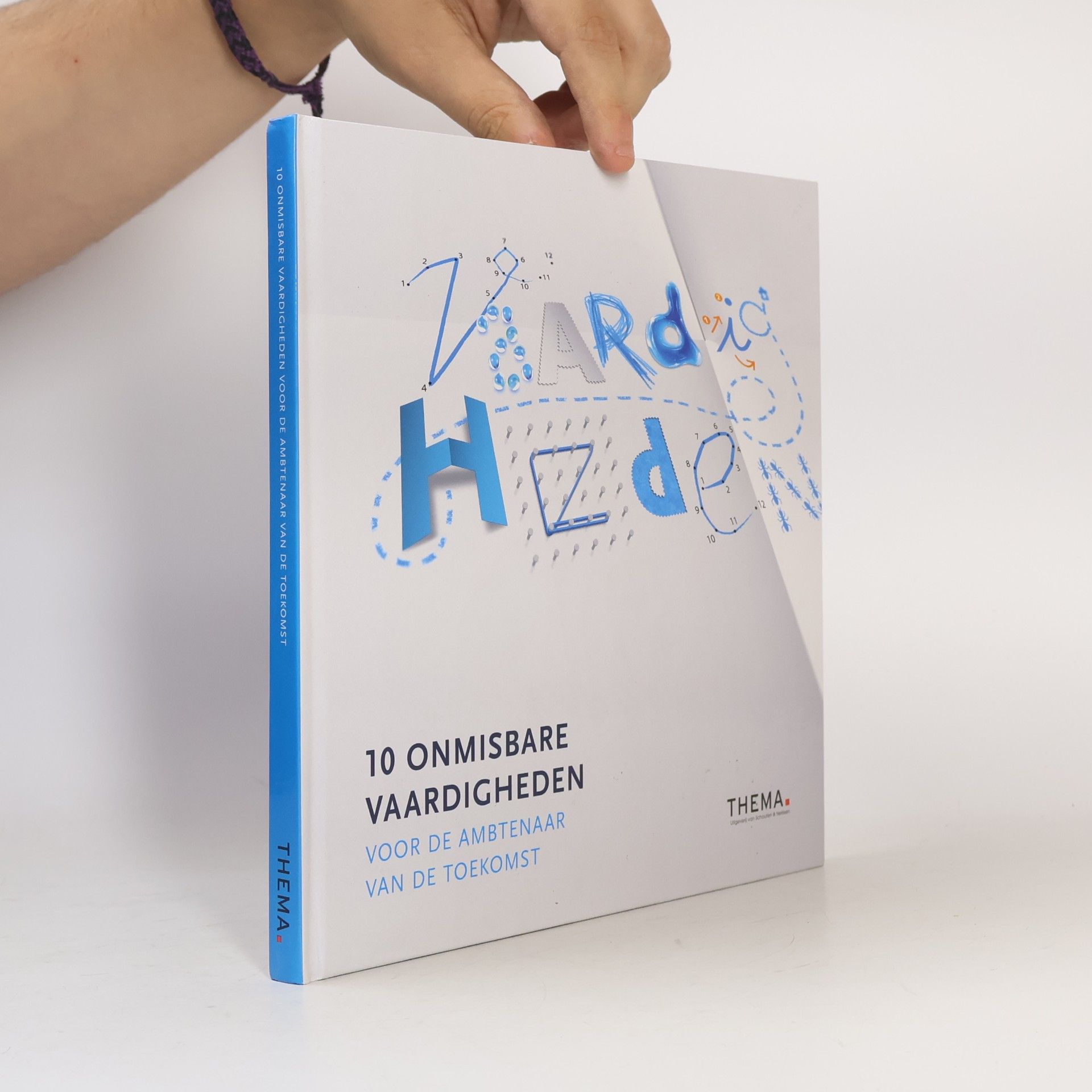 Lex de Bruijn Vaardigheden