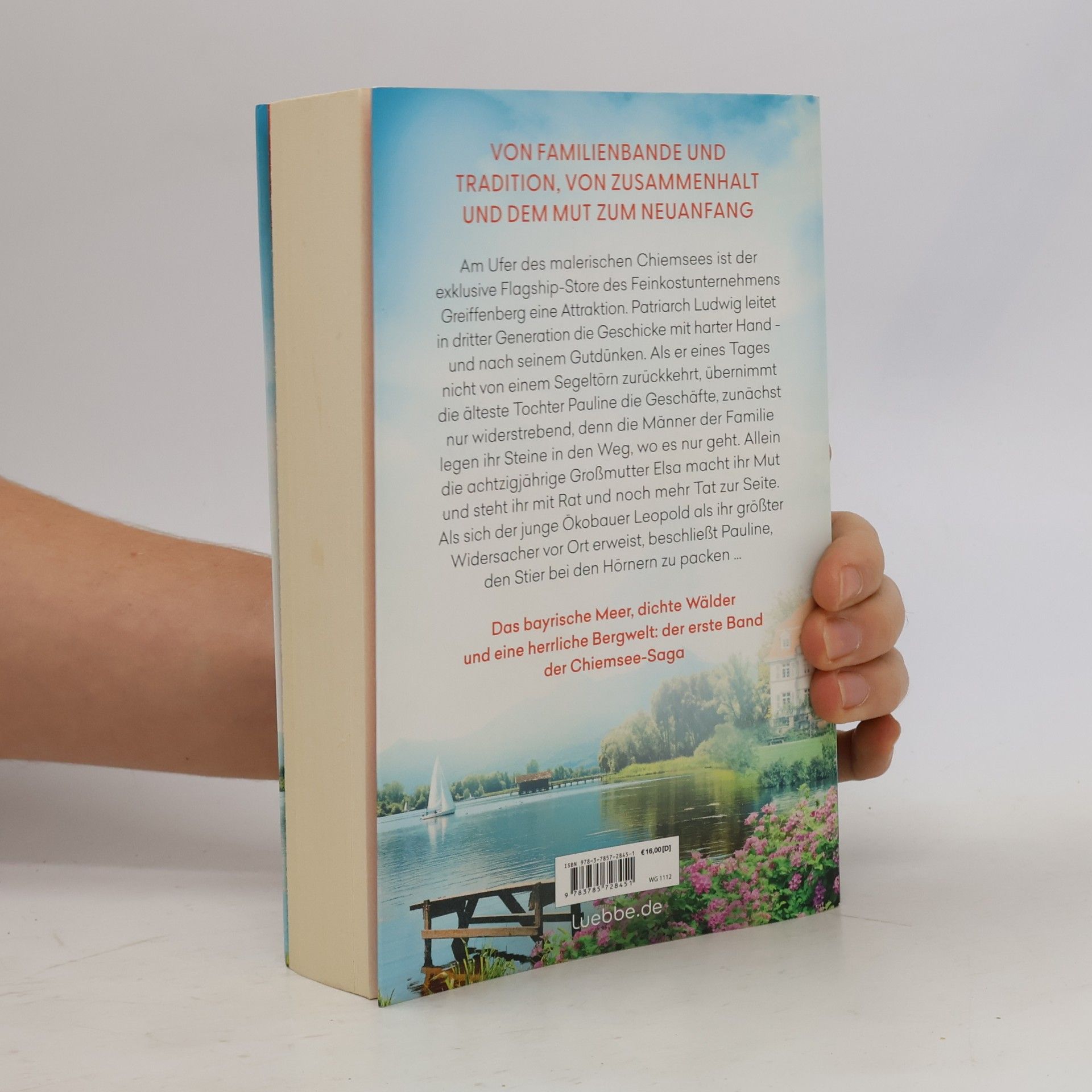 Isabell Schönhoff Das Erbe der Greiffenbergs - Gegen den Wind