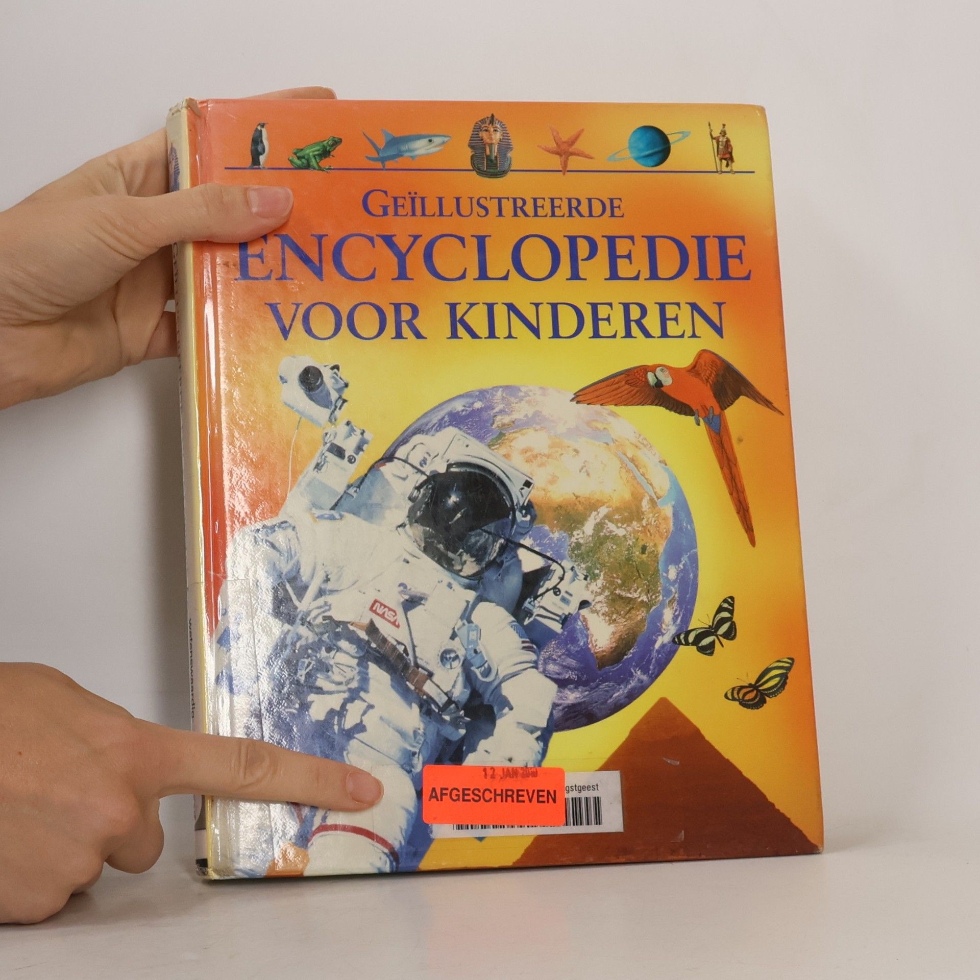 Neil Morris Geïllustreerde encyclopedie voor kinderen