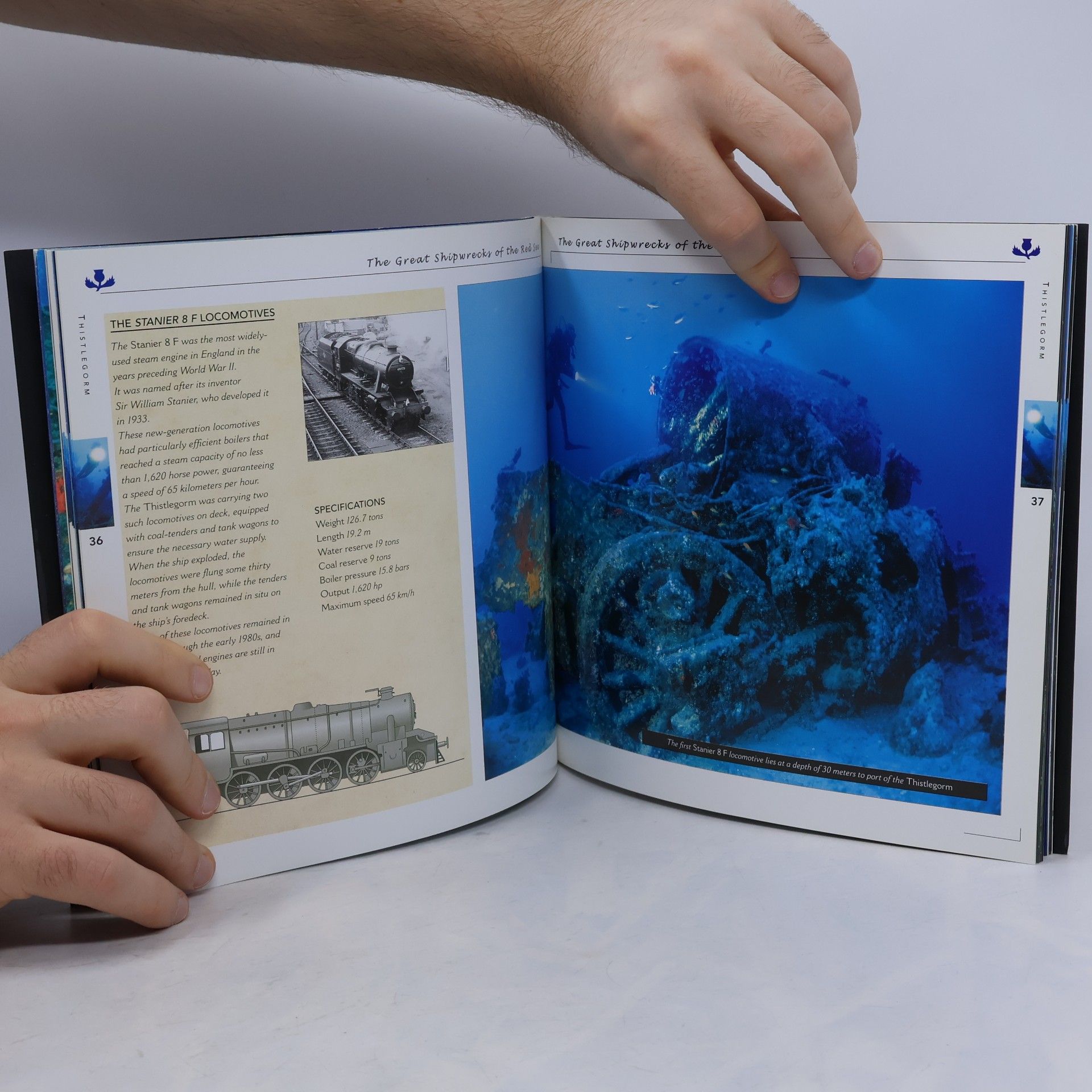 Alberto Siliotti The Great Shipwrecks of the Red Sea