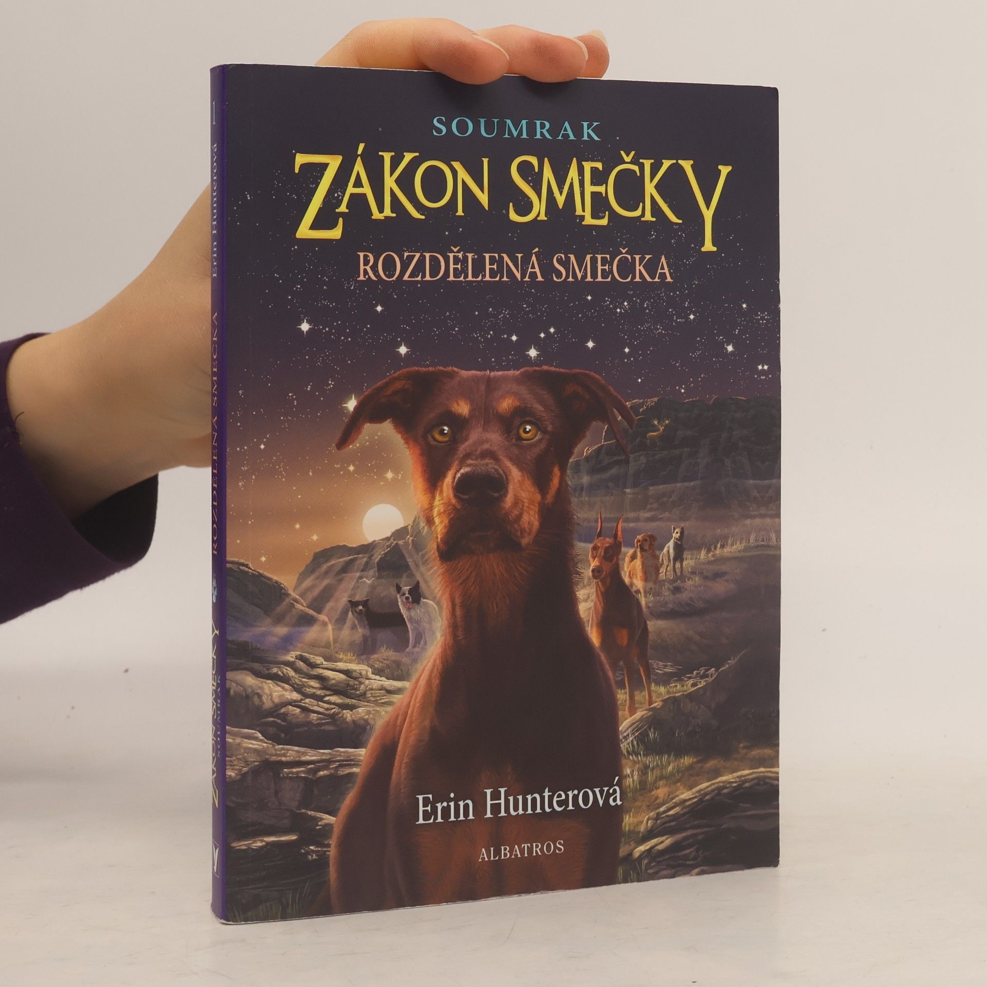 Erin Hunter Rozdělená smečka