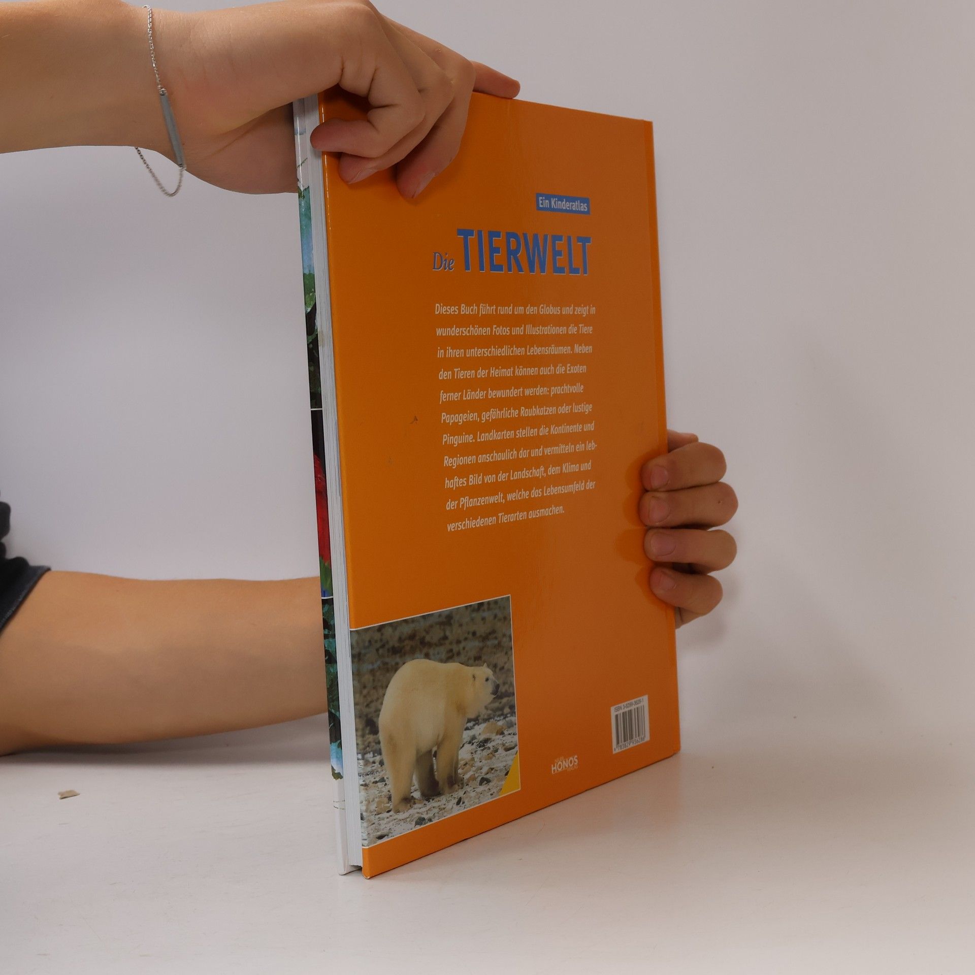 Die Tierwelt