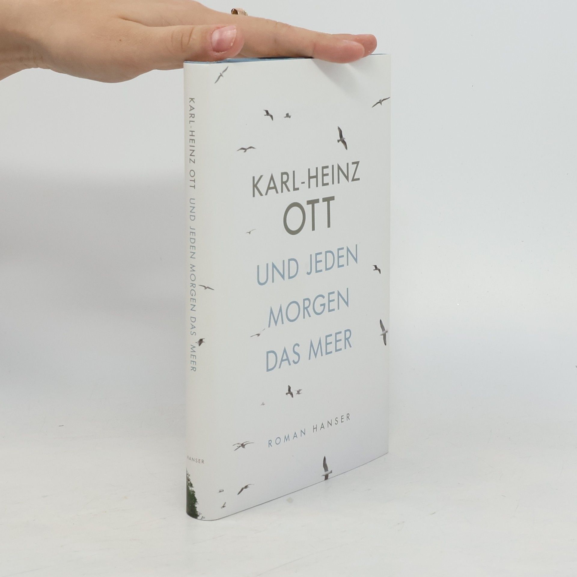 Karl Heinz Ott Und jeden Morgen das Meer