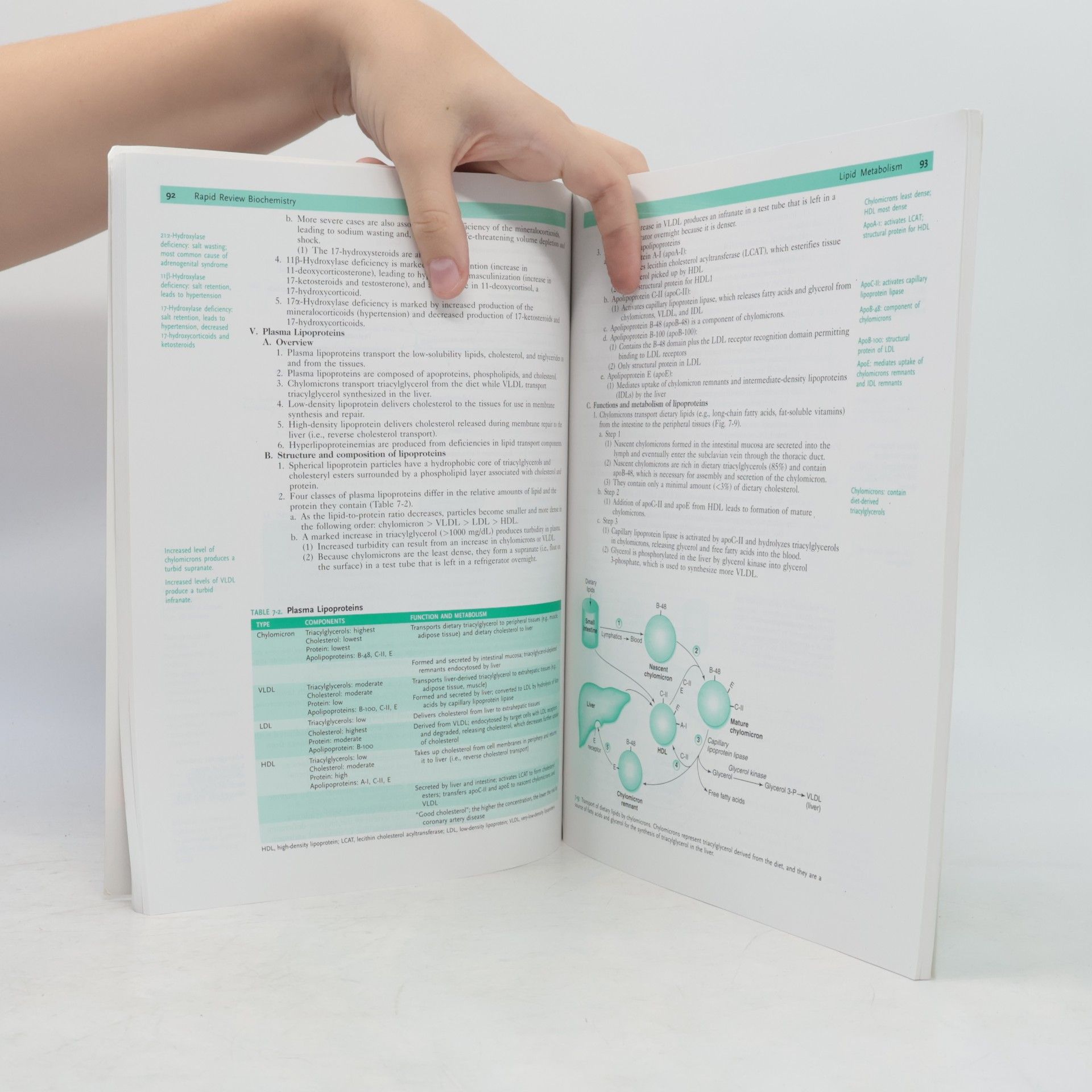 John W. Pelley Rapid review biochemistry