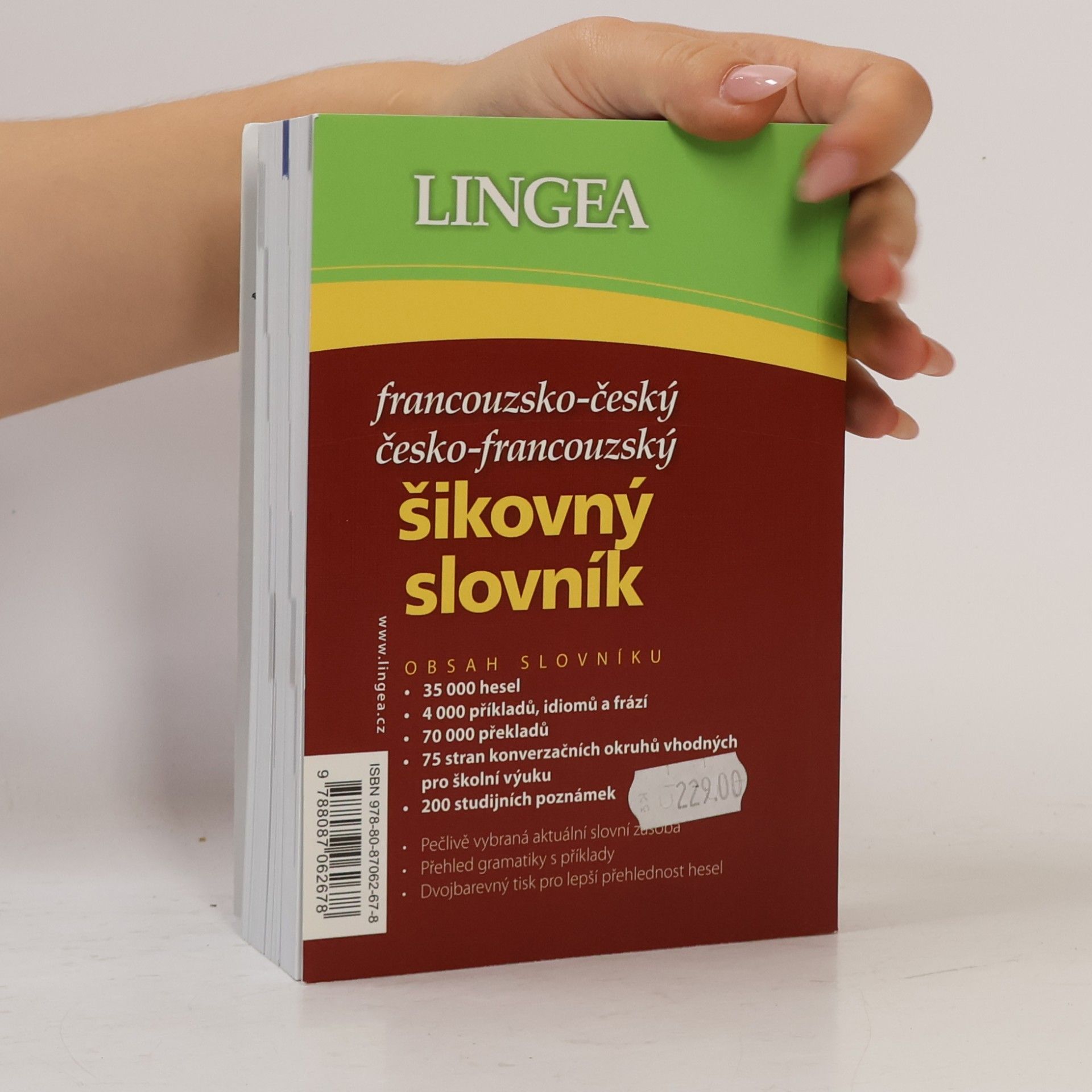 Autorenkollektiv Francouzsko-český, česko-francouzský šikovný slovník