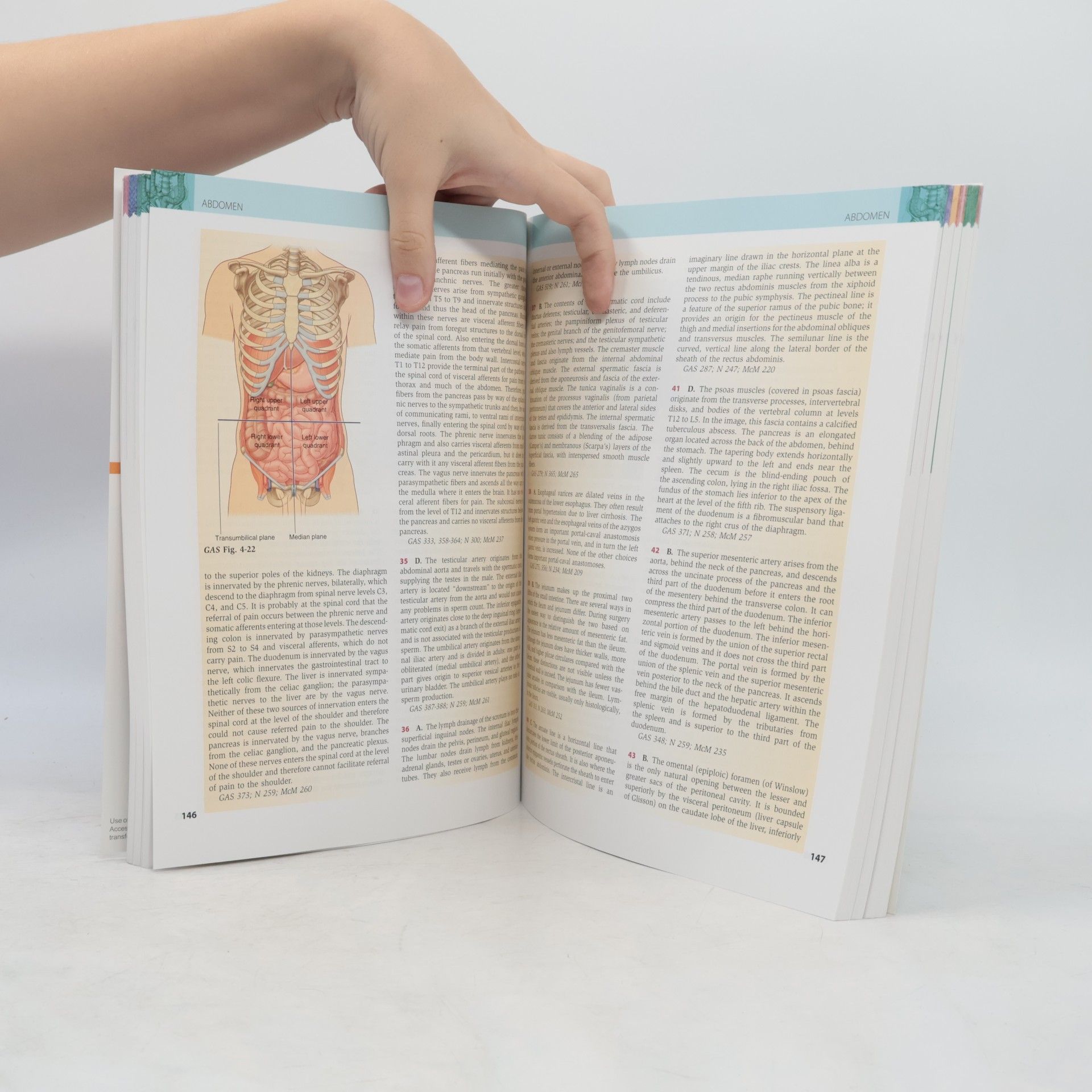 Marios Loukas Gray's Anatomy Review