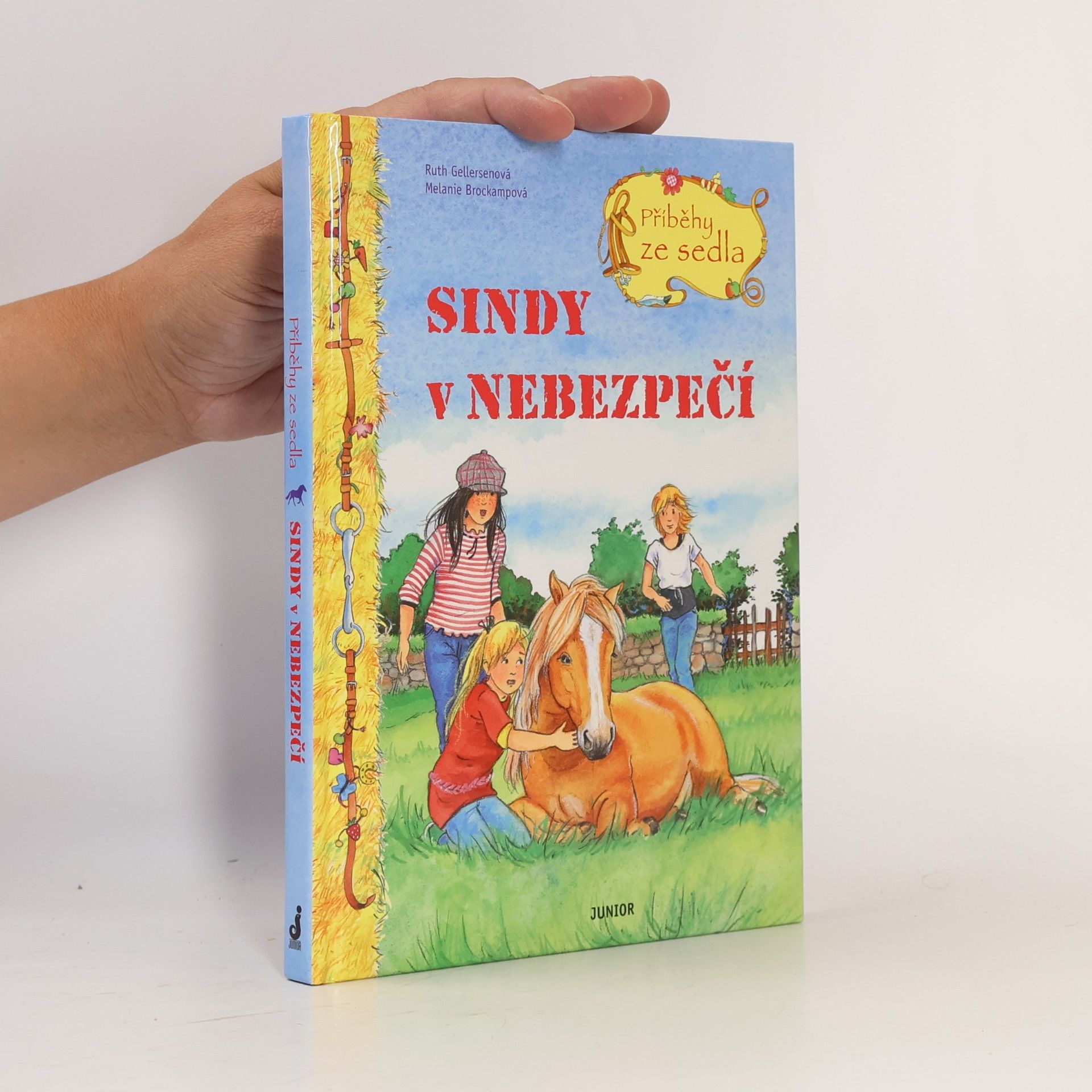 Sindy v nebezpečí
