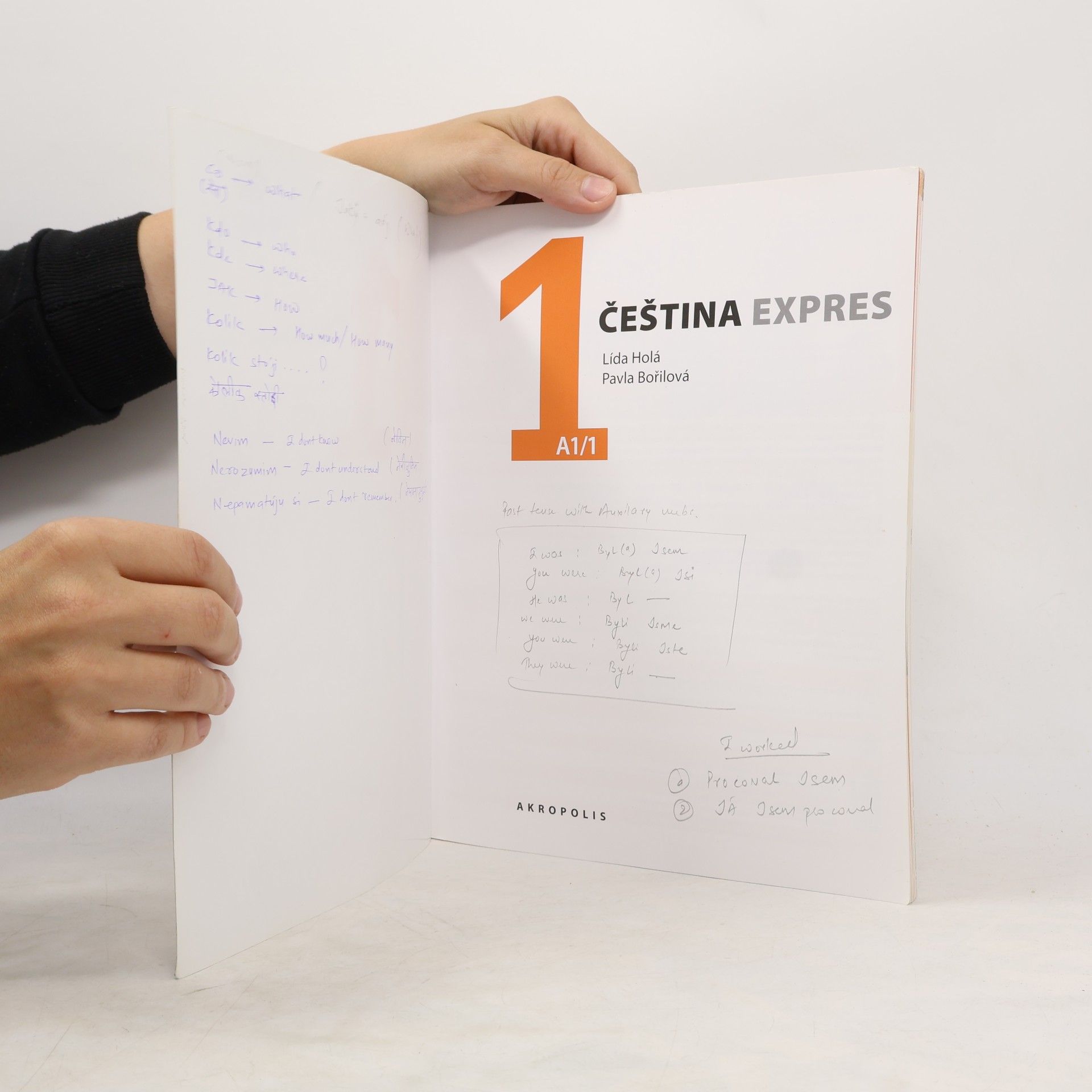 Lída Holá Čeština Expres A1/1 + příloha