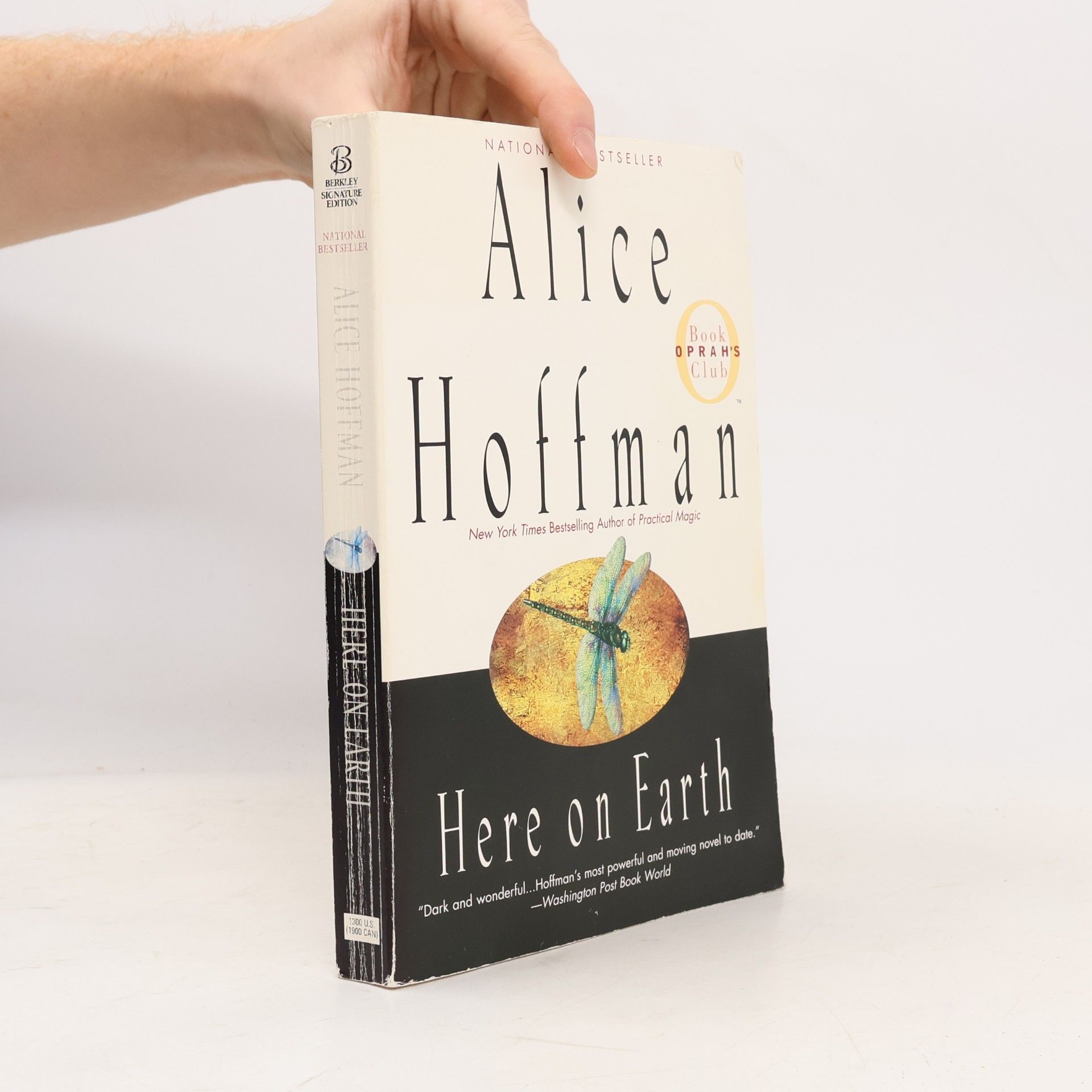 Alice Hoffman Here on Earth