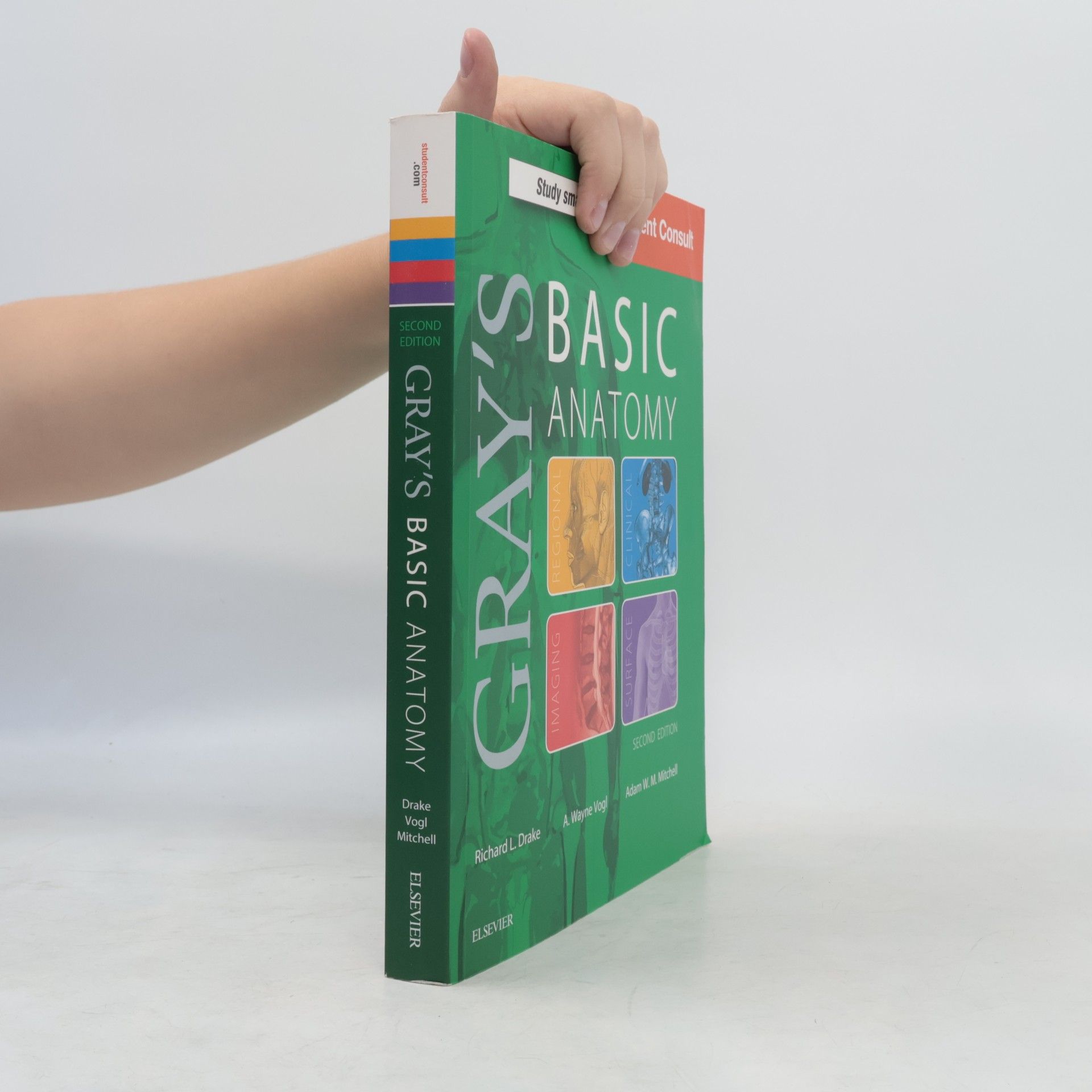 Richard Drake Gray's Basic Anatomy