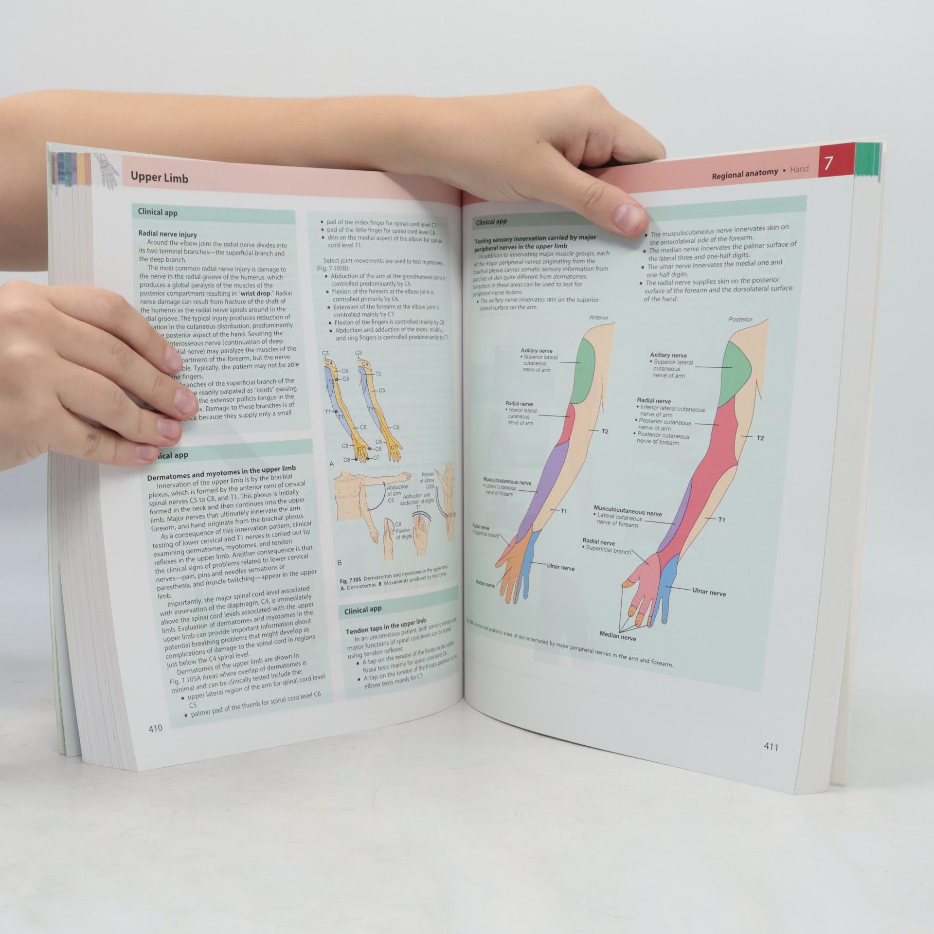 Richard L. Drake Gray's Basic Anatomy