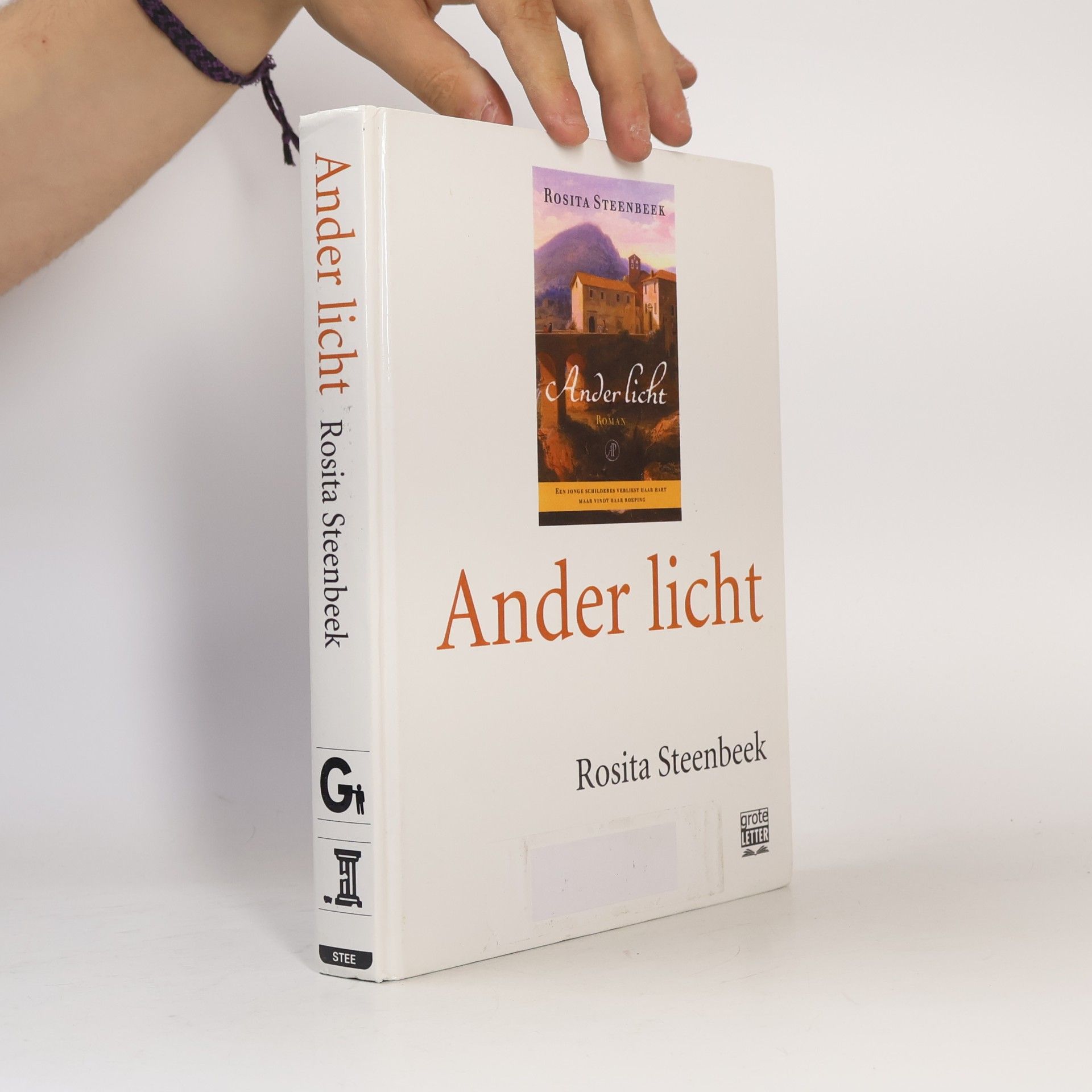 Rosita Steenbeek Ander licht