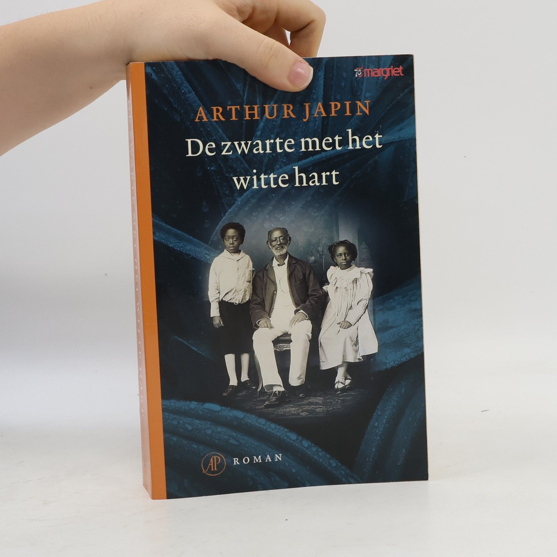 Arthur Japin De zwarte met het witte hart