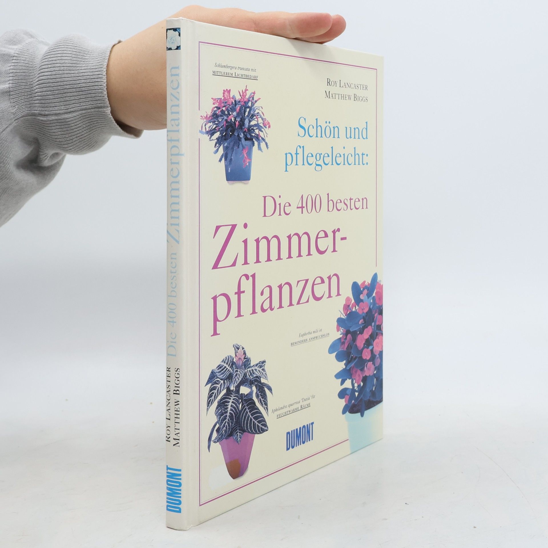 Schön und pflegeleicht: die 400 besten Zimmerpflanzen
