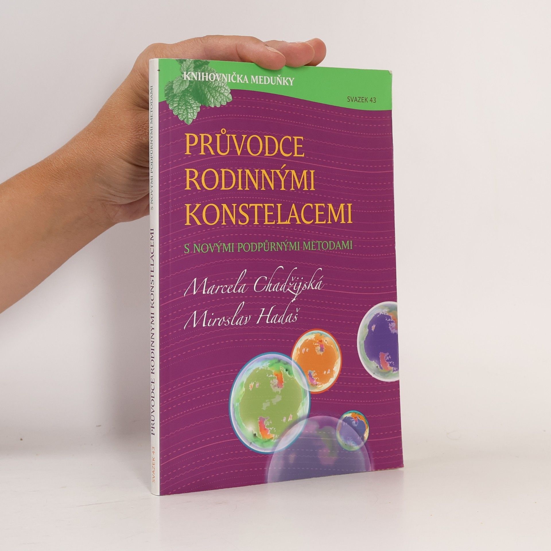 Průvodce rodinnými konstelacemi s novými podpůrnými metodami