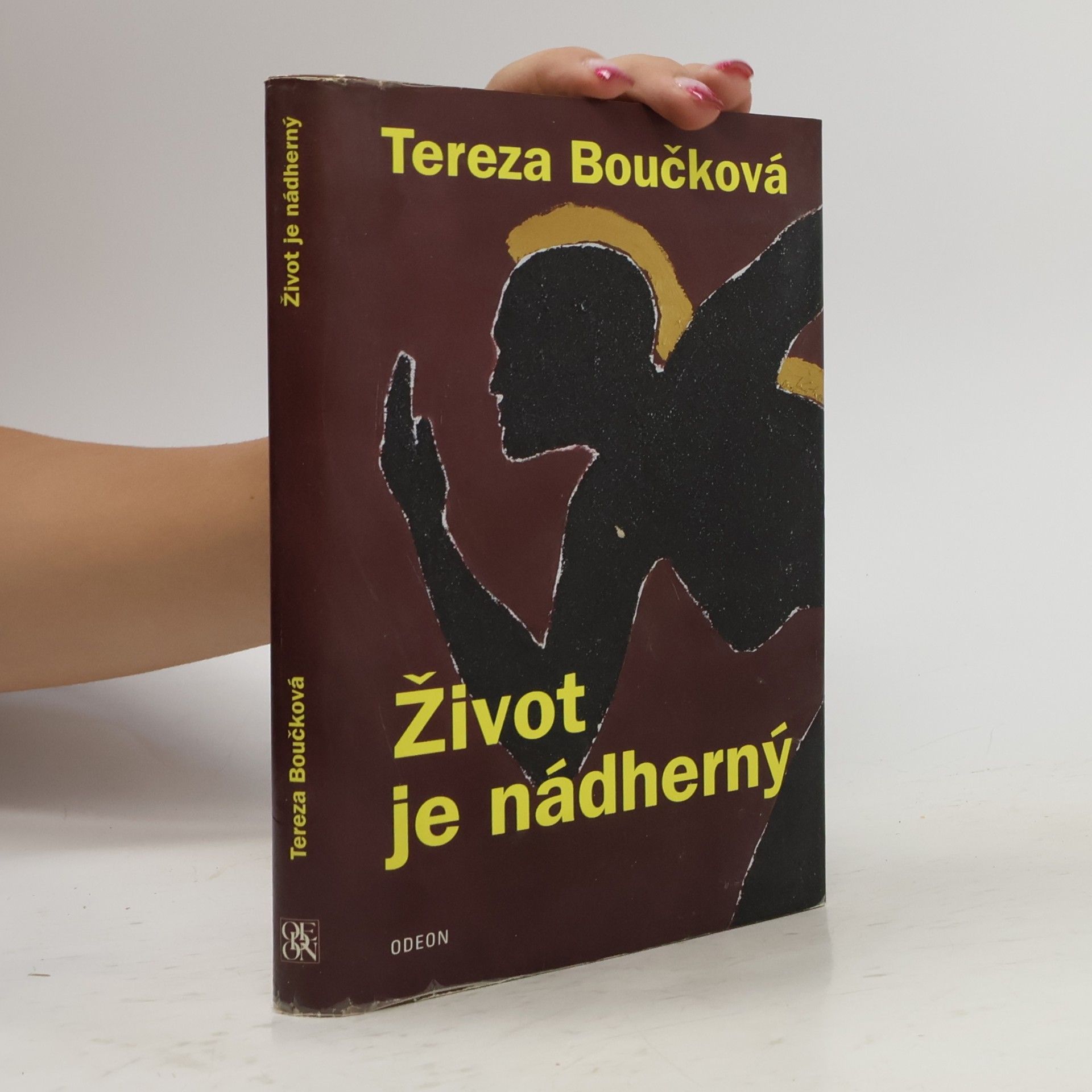 Tereza Boučková Život je nádherný