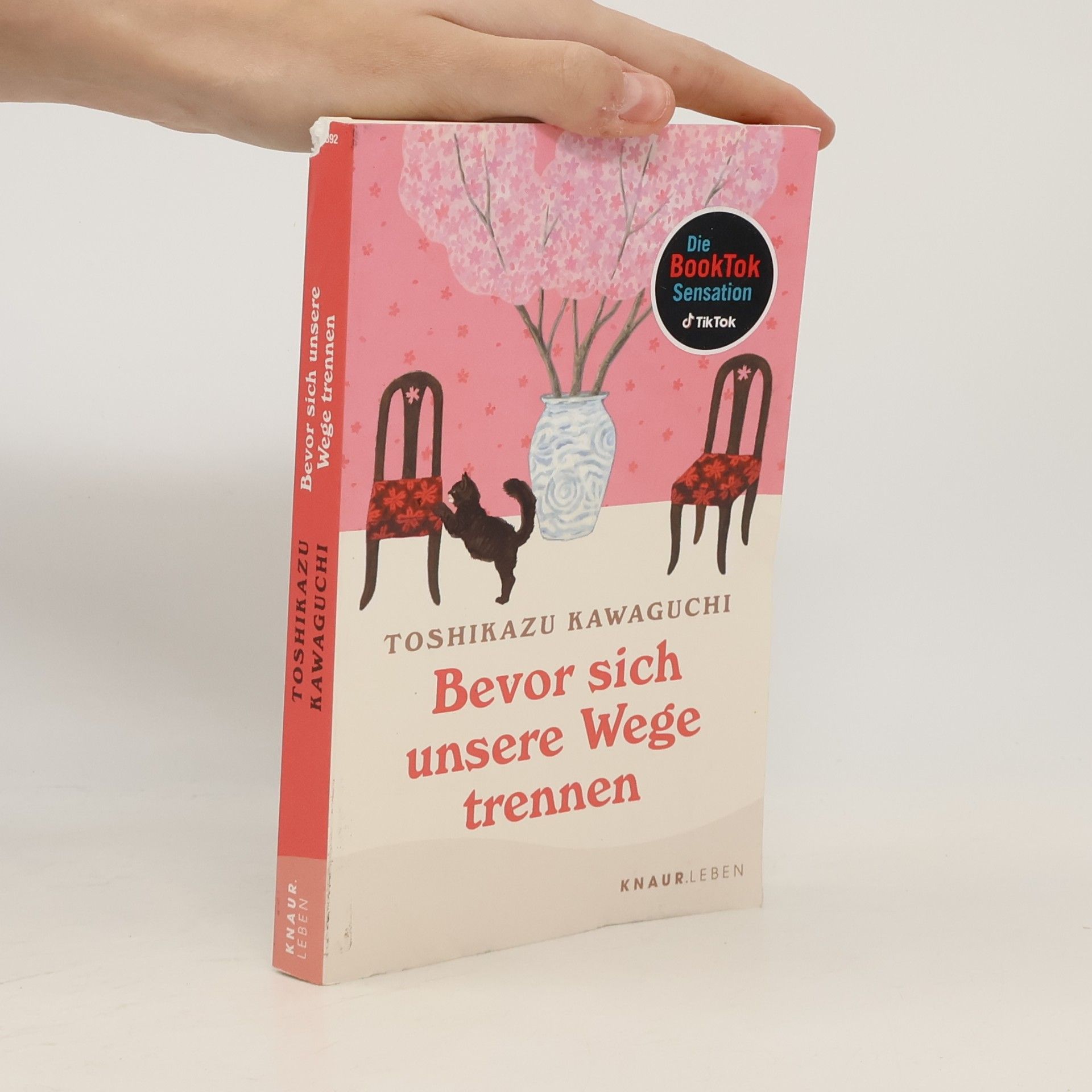 Tošikazu Kawaguči Bevor sich unsere Wege trennen