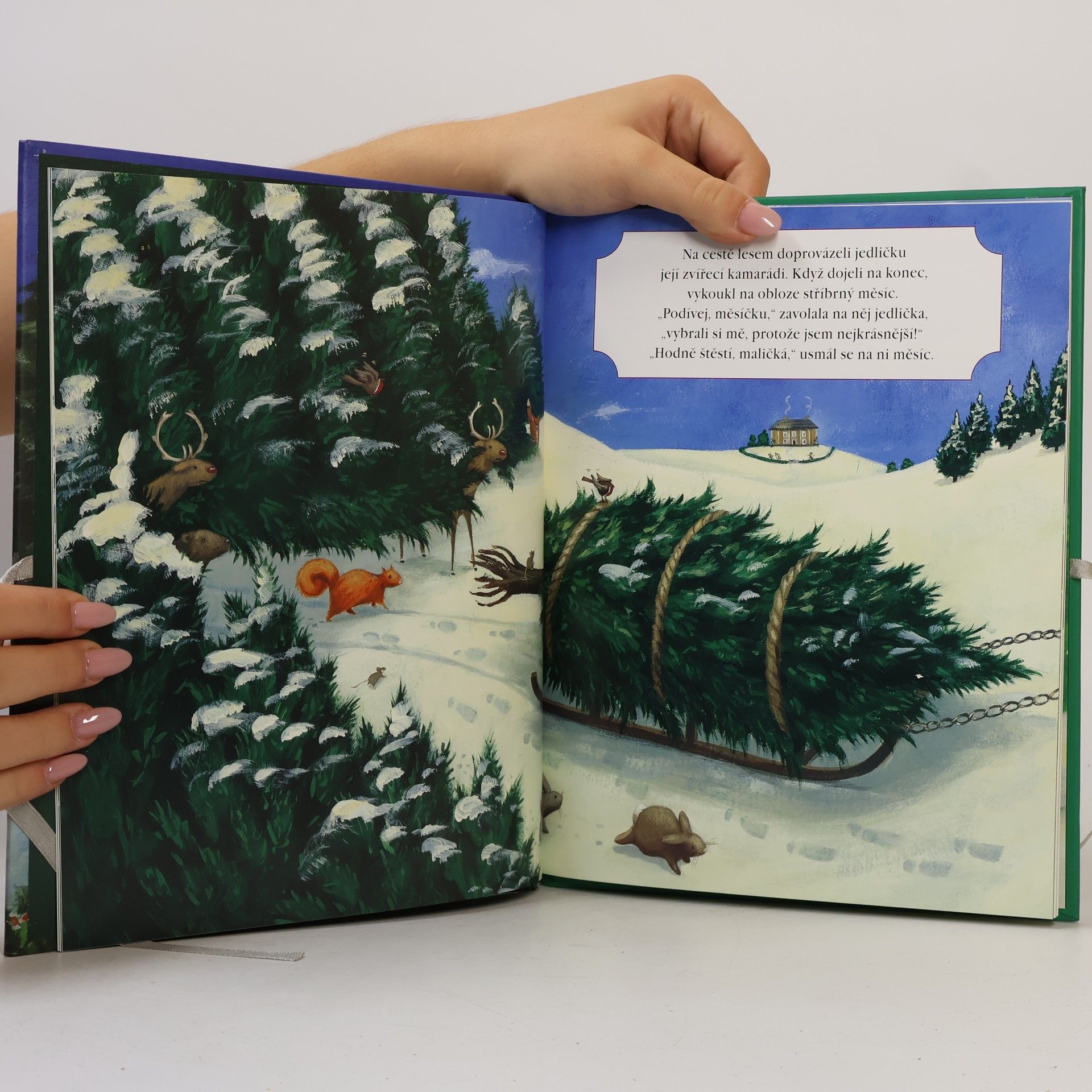 Hans Christian Andersen O malé jedličce