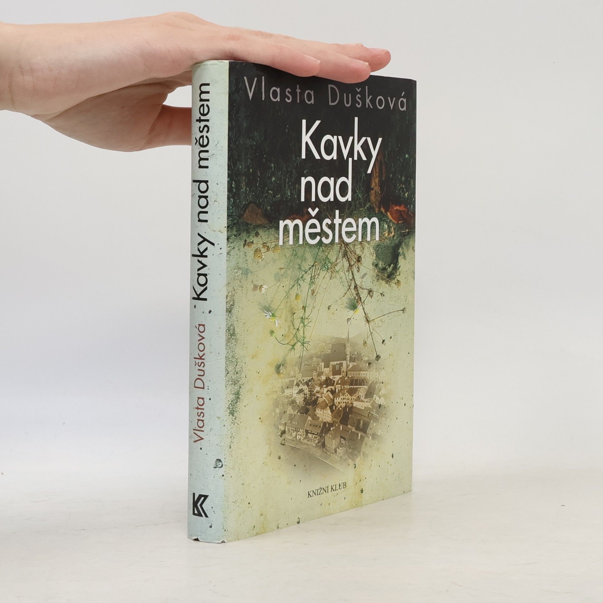 Vlasta Dušková Kavky nad městem