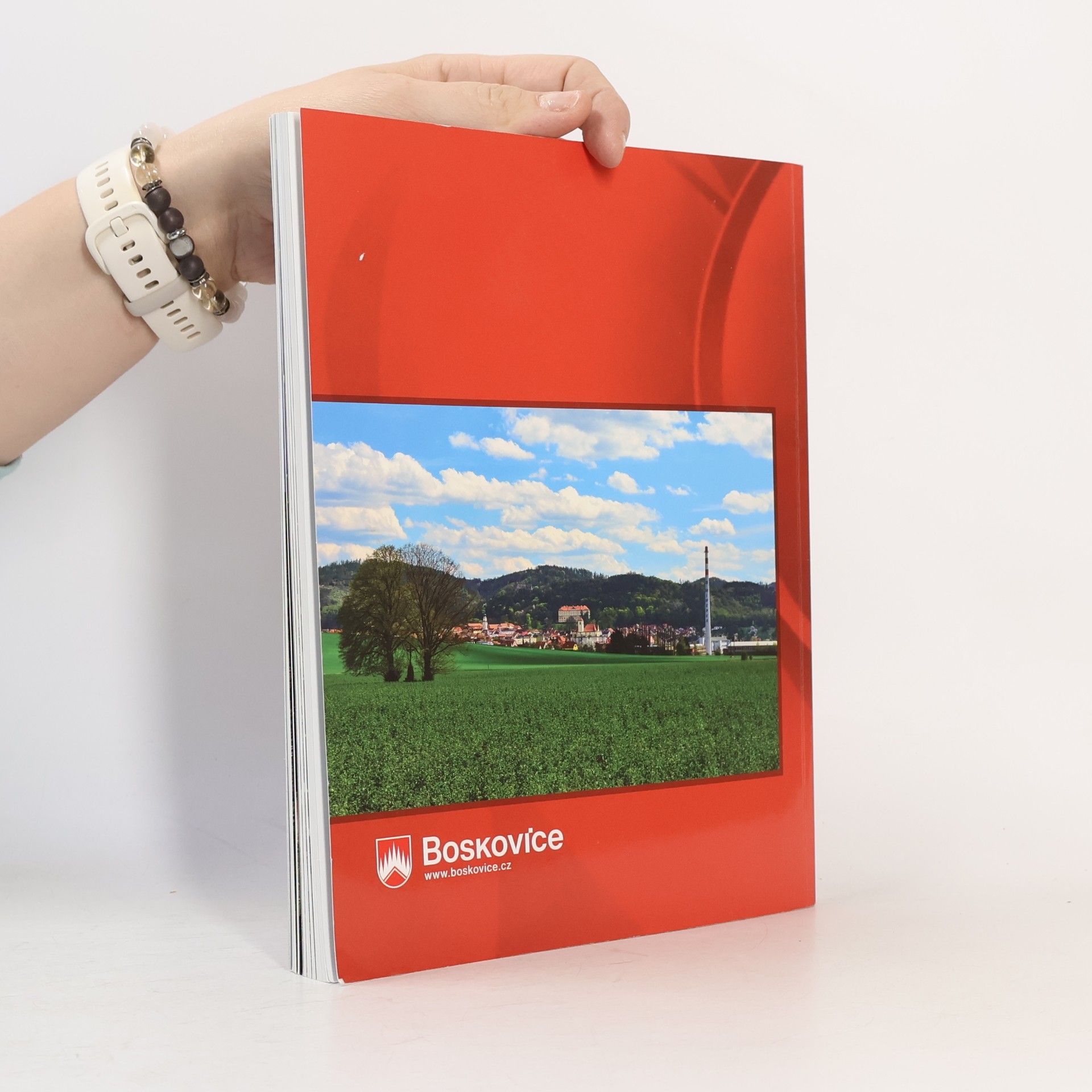 Kolektiv autorů Boskovice - město sedmizubého hřebene