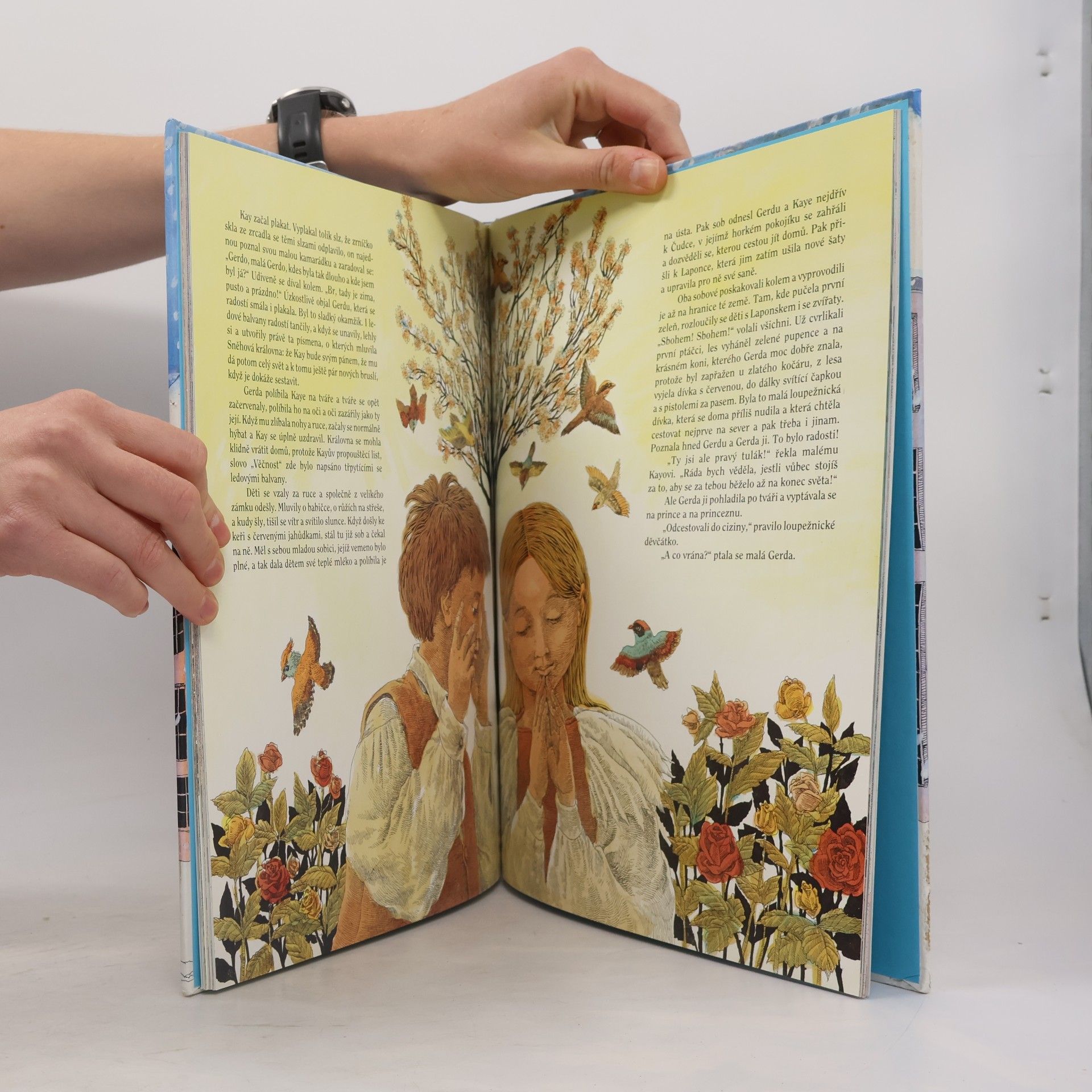 Hans-Christian Andersen Sněhová královna a jiné pohádky