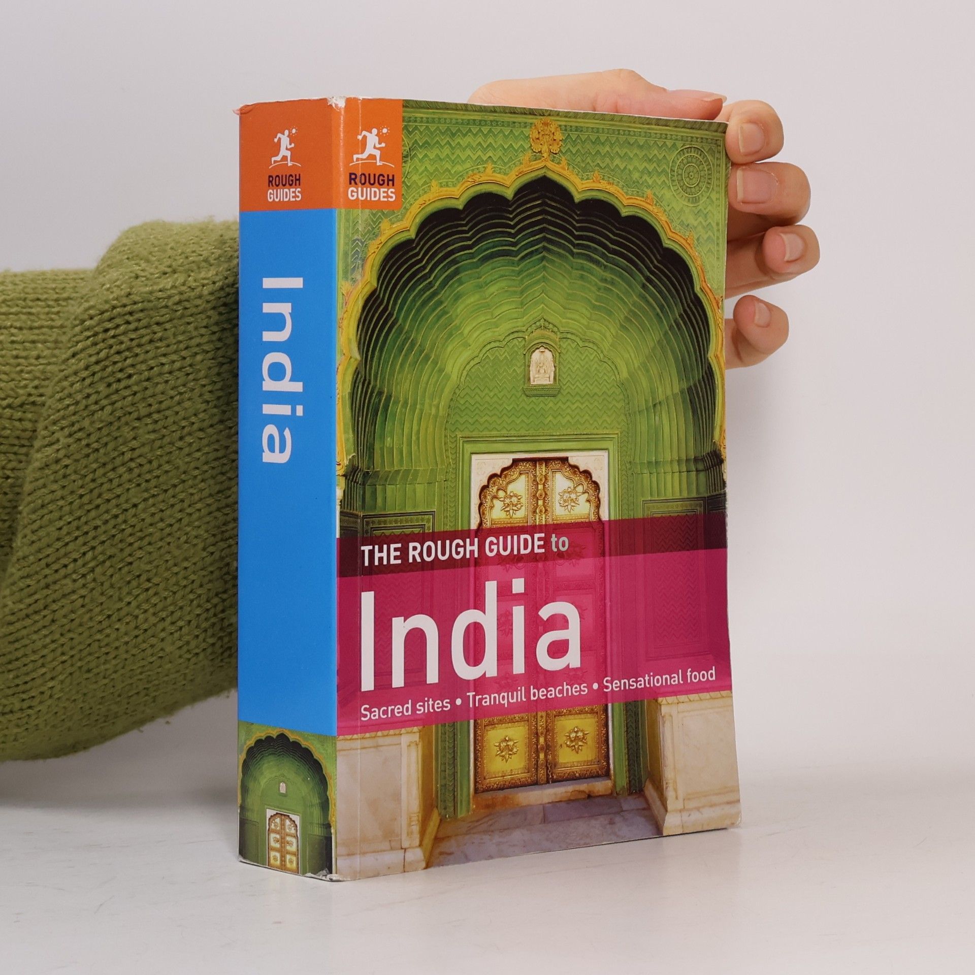 David Abram The Rough Guide to India
