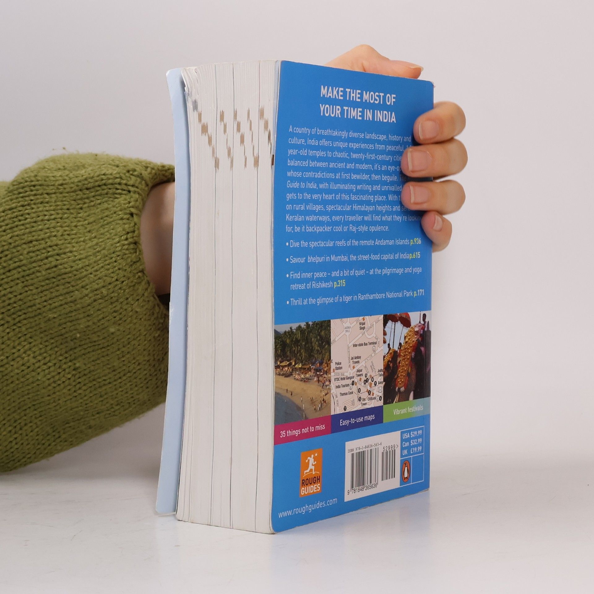 David Abram The Rough Guide to India
