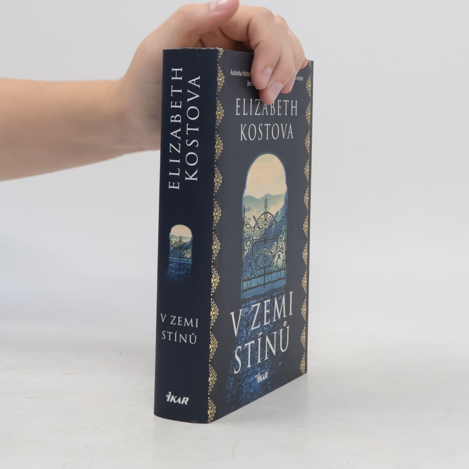 Elizabeth Kostova V zemi stínů