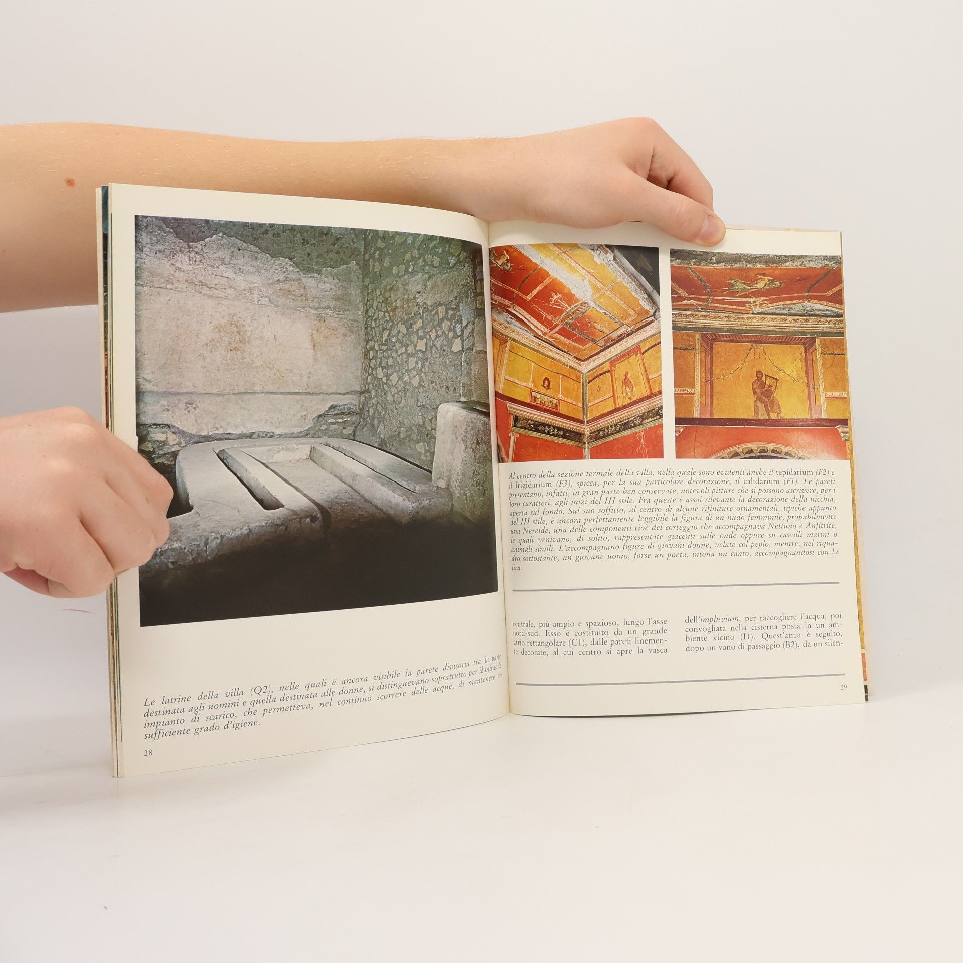 Carcavallo Oplontis: Nuova edizione