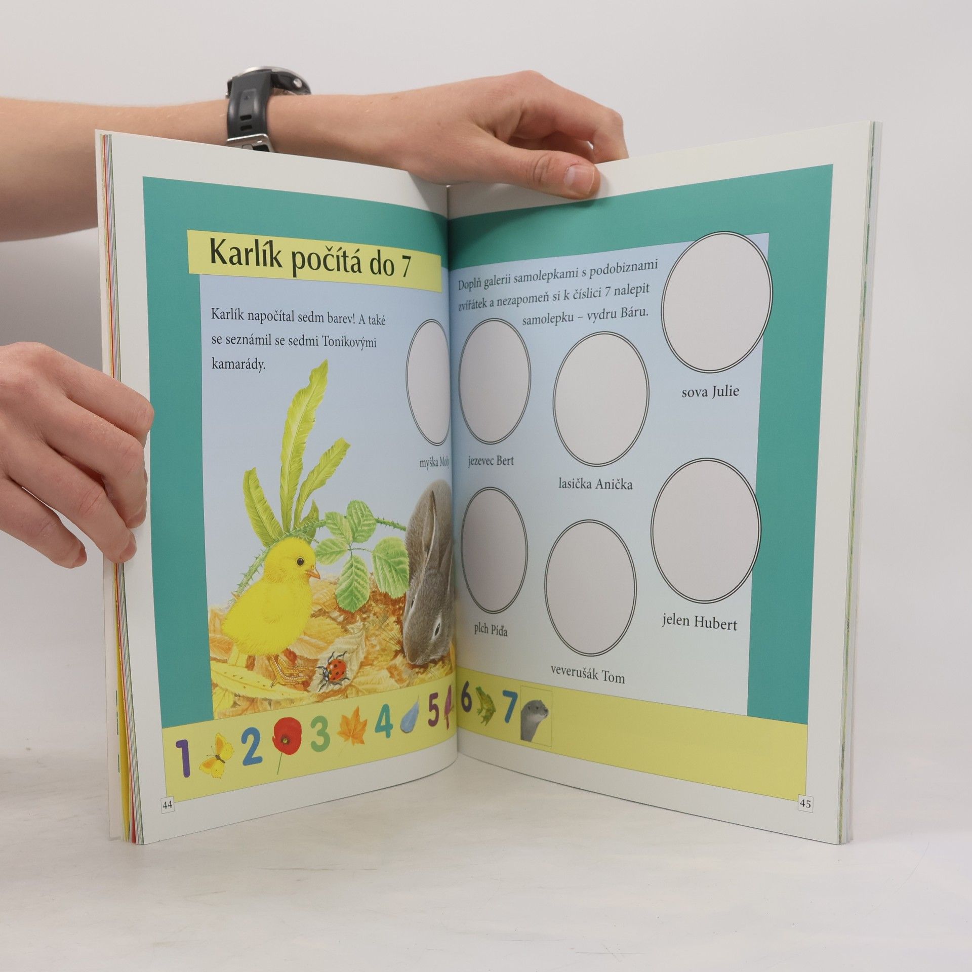 Maurice J. Pledger Králík Toník : kniha se samolepkami : počítání a barvy
