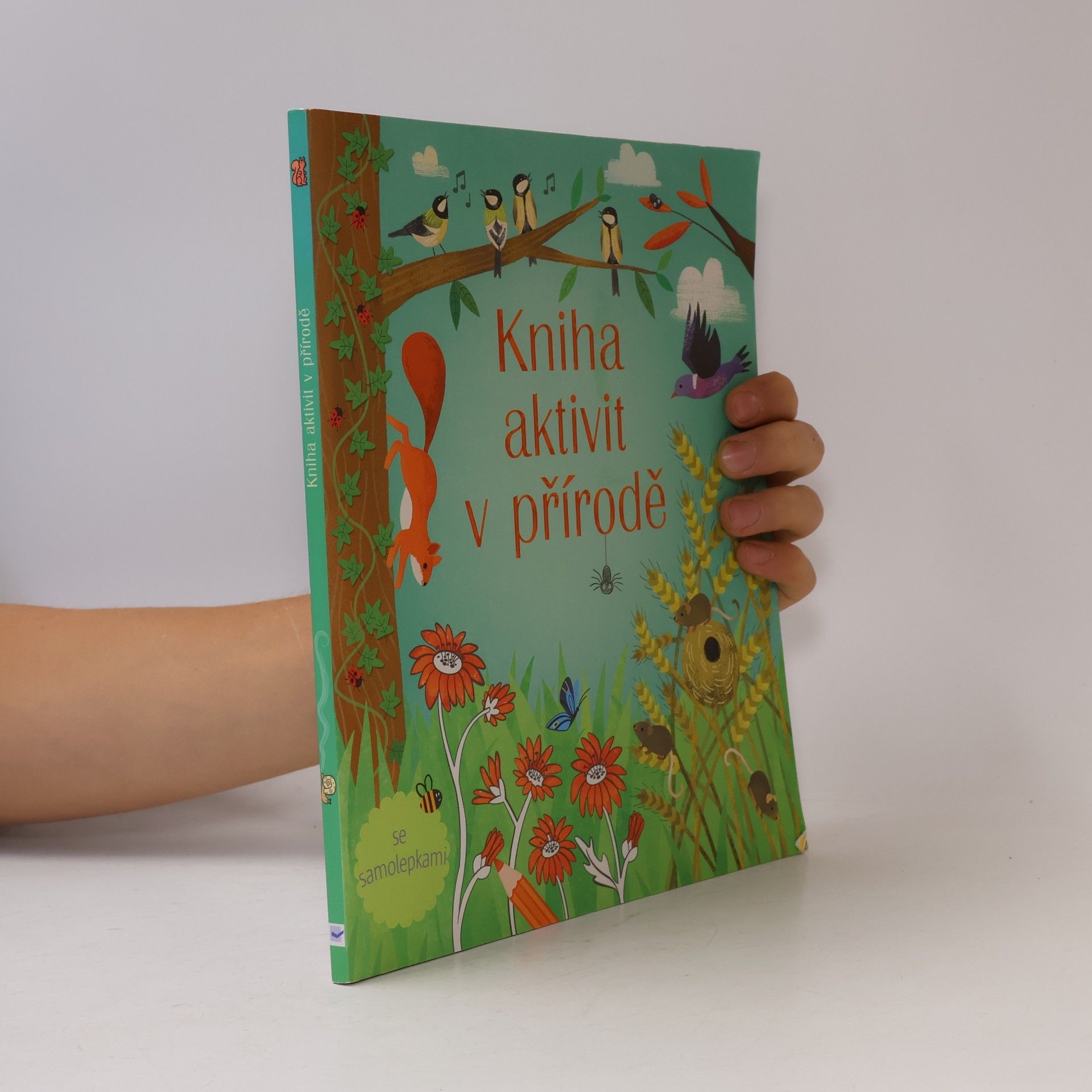 Rebecca Gilpin Kniha aktivit v přírodě