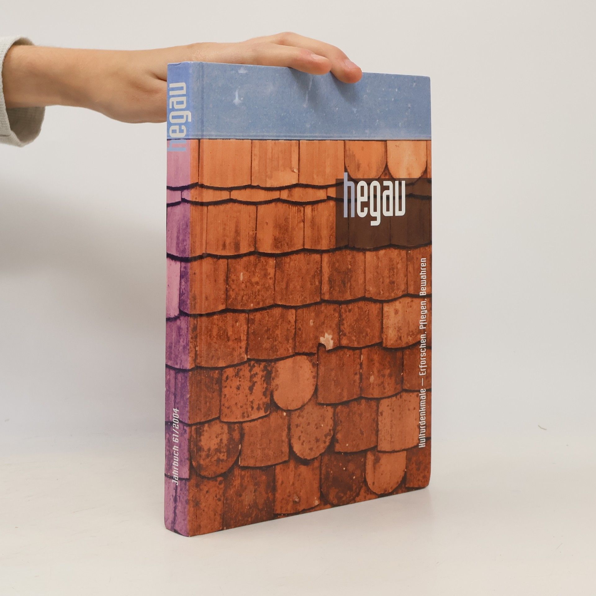 Stumpf-Boos, Christa Hegau Jahrbuch 2004: Hegau - Bodensee. Kulturdenkmale - Erforschen, Pflegen, Bewahren (Hegau Jahrbuch: Zeitschrift für Geschichte, Volkskunde, ... Gebietes zwischen Rhein, Donau undBodensee)