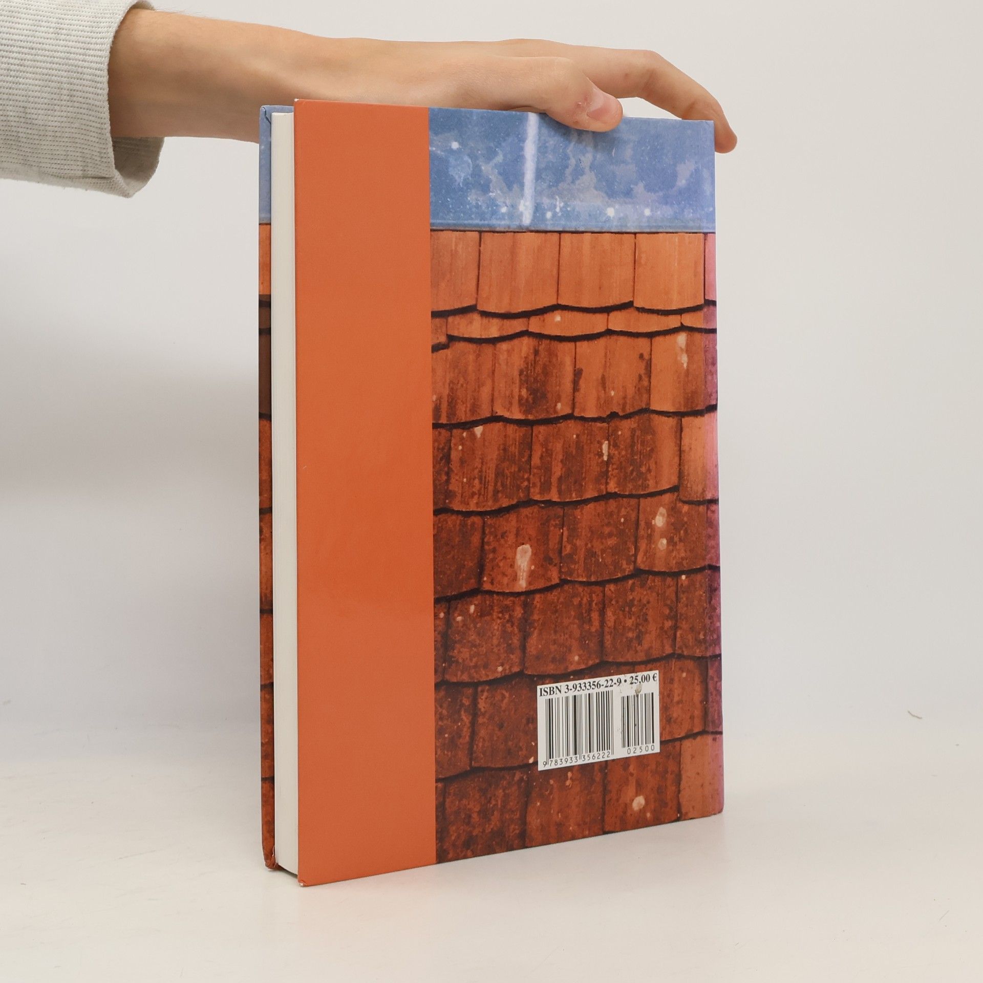Kramer, Wolfgang Hegau Jahrbuch 2004: Hegau - Bodensee. Kulturdenkmale - Erforschen, Pflegen, Bewahren (Hegau Jahrbuch: Zeitschrift für Geschichte, Volkskunde, ... Gebietes zwischen Rhein, Donau undBodensee)