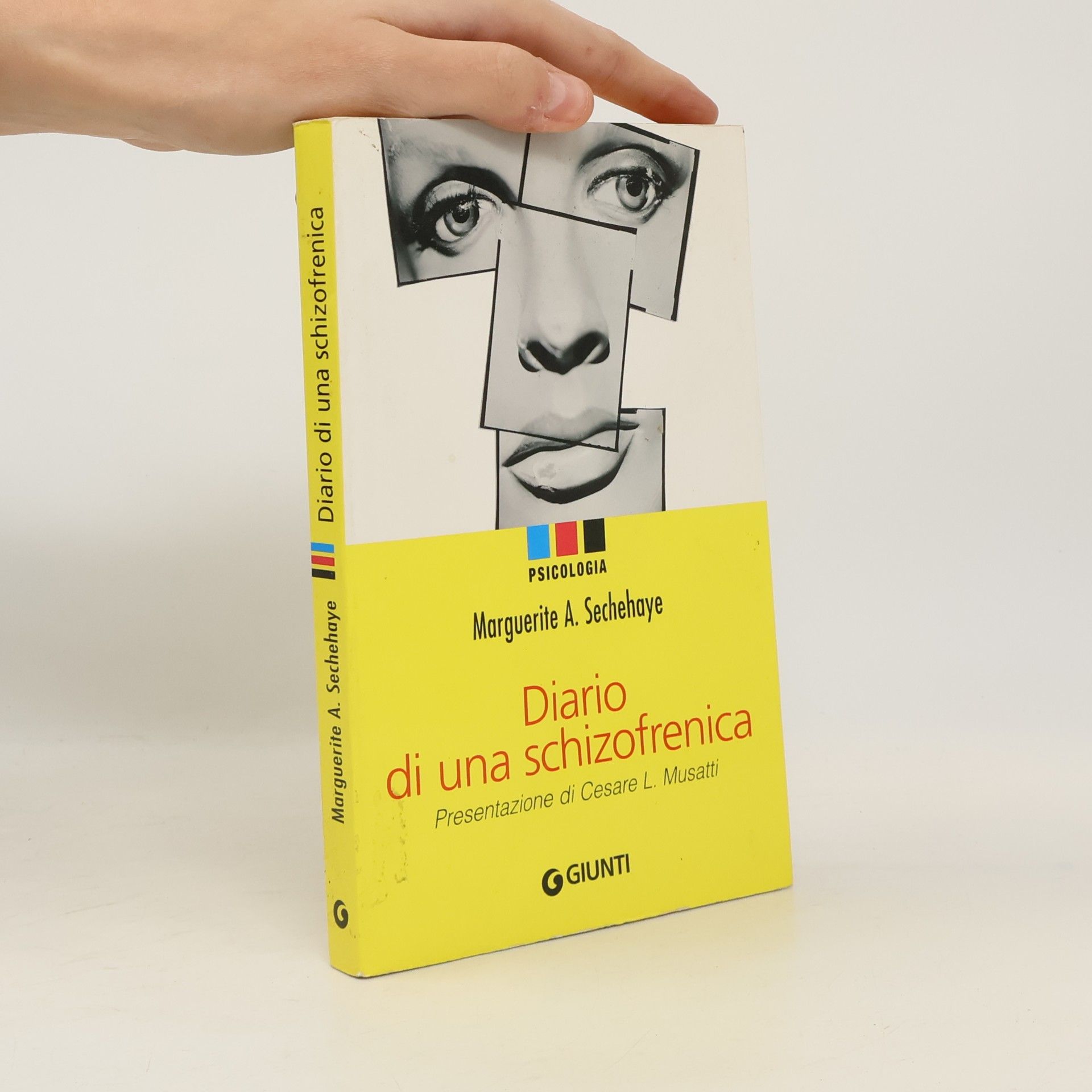 Marguerite Sechehaye Diario di una schizofrenica