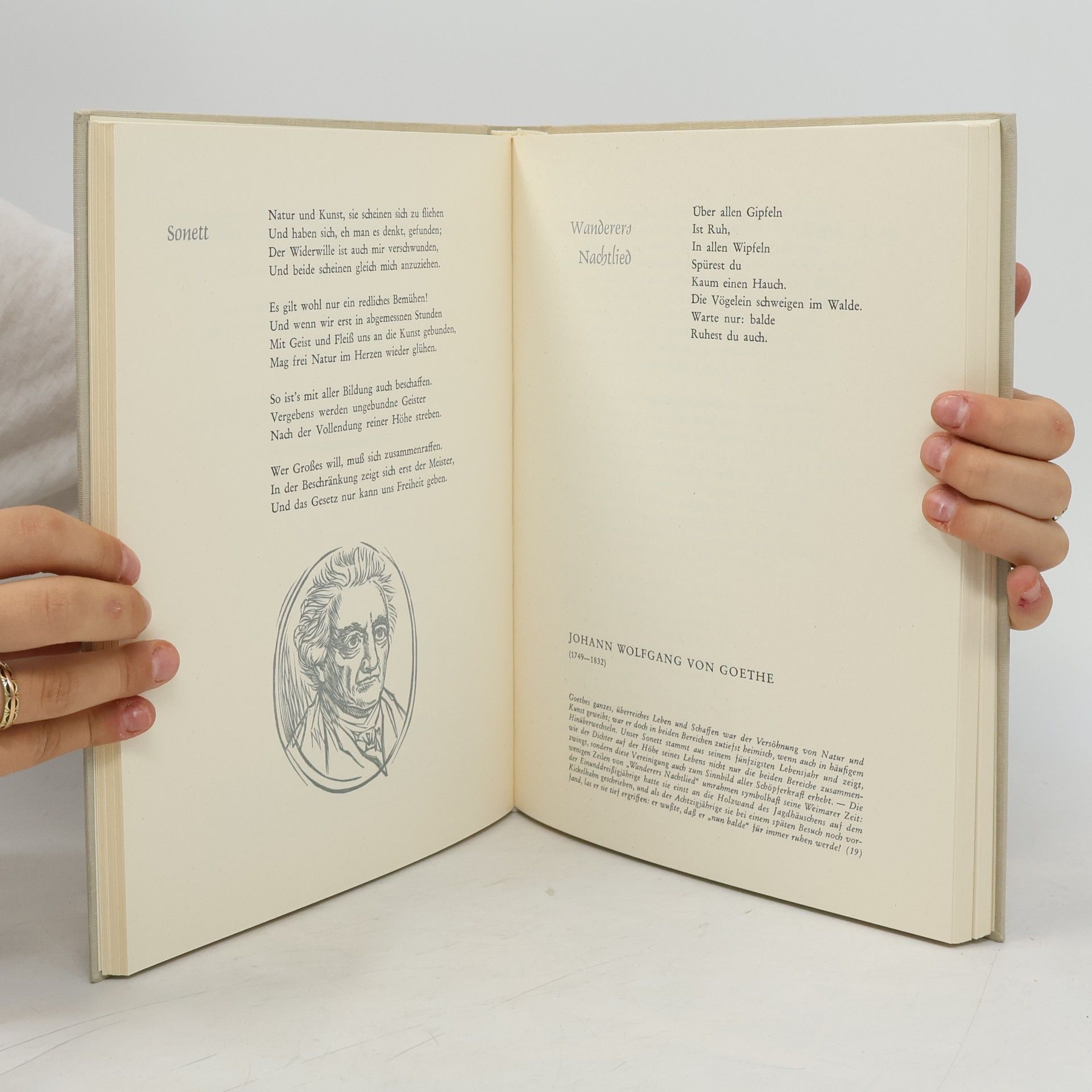 Autorenkollektiv Leuchtendes Leben