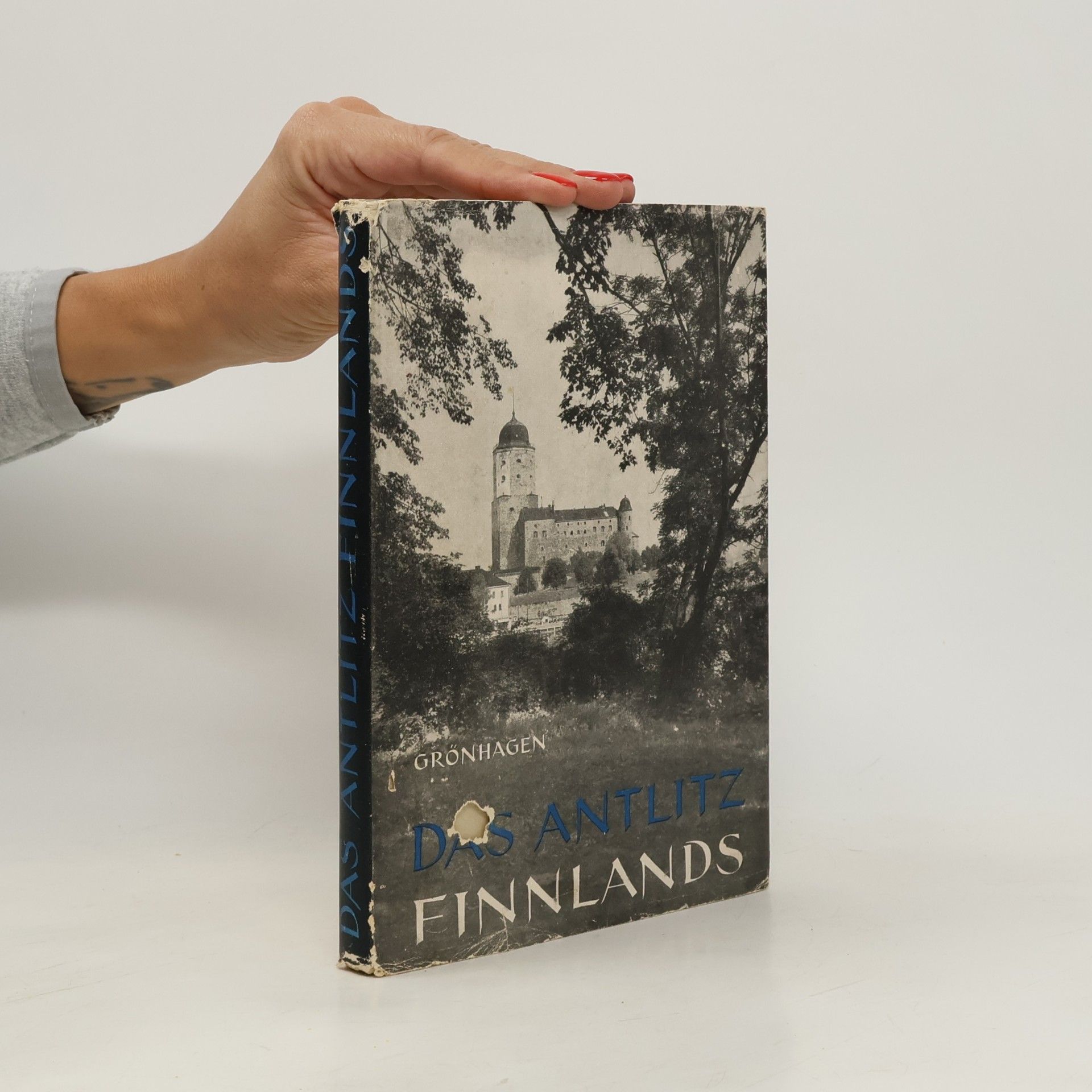 Das Antlitz Finnlands