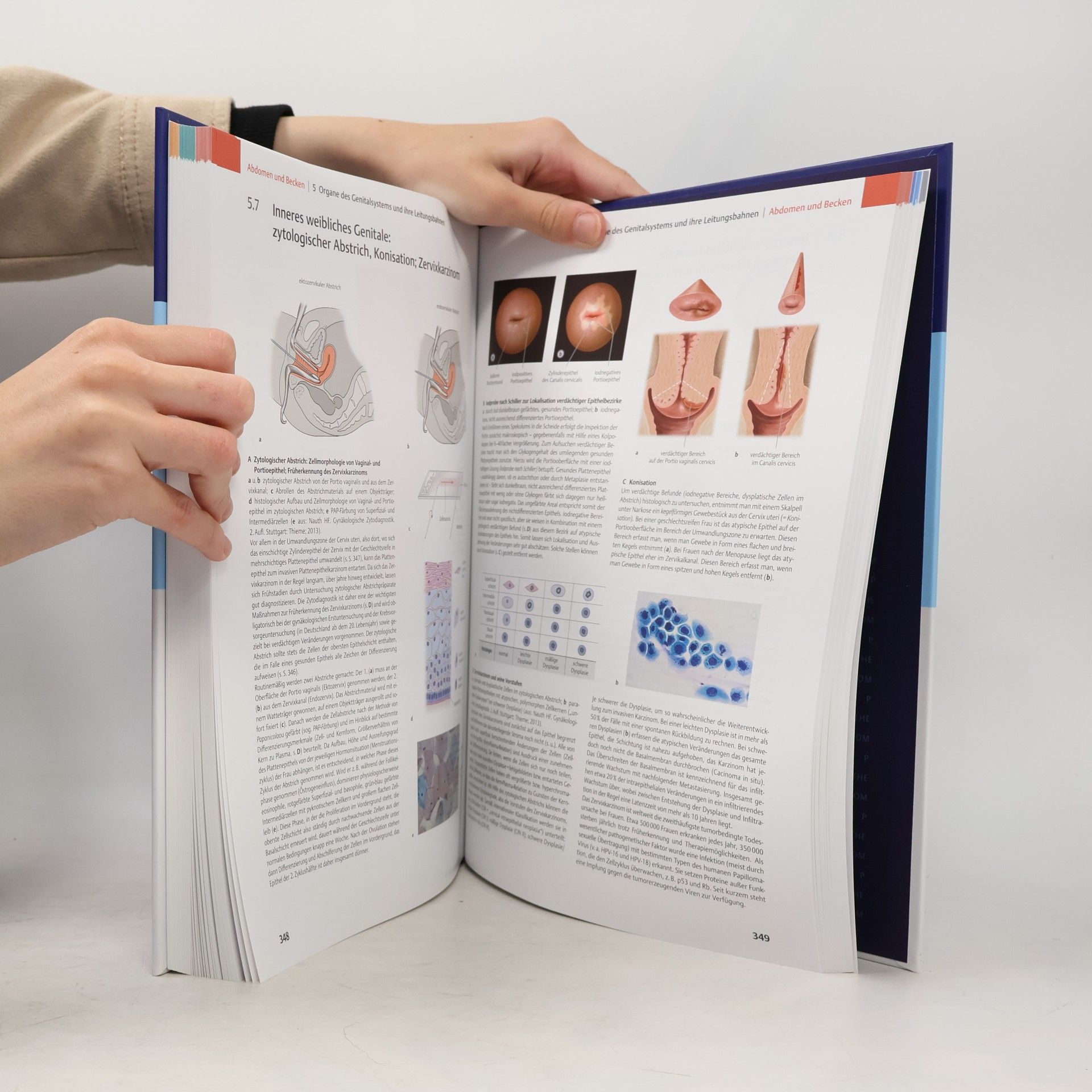 Collectif d'auteurs PROMETHEUS LernPaket Anatomie