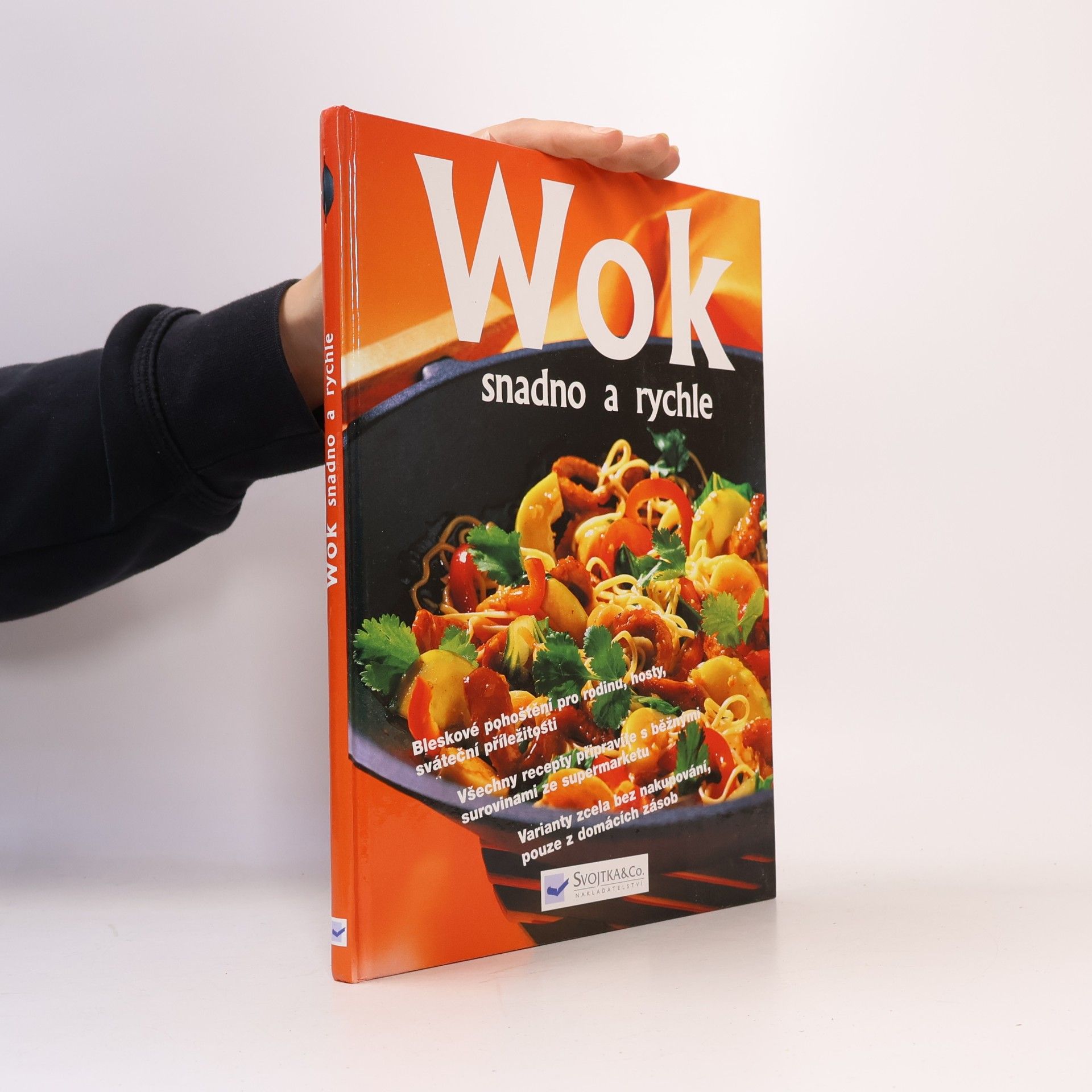 Angelika Ilies Wok snadno a rychle
