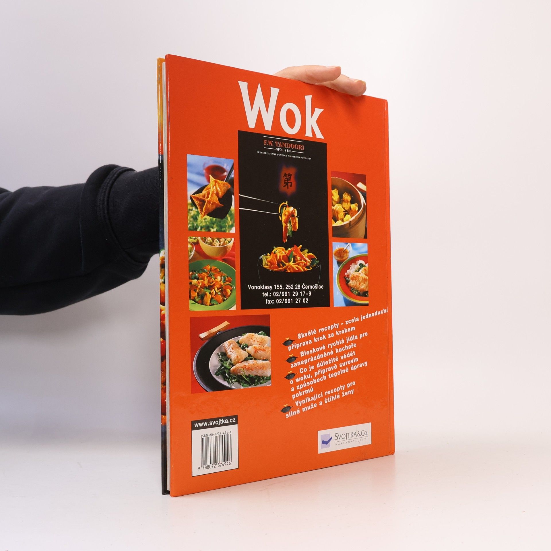 Angelika Ilies Wok snadno a rychle