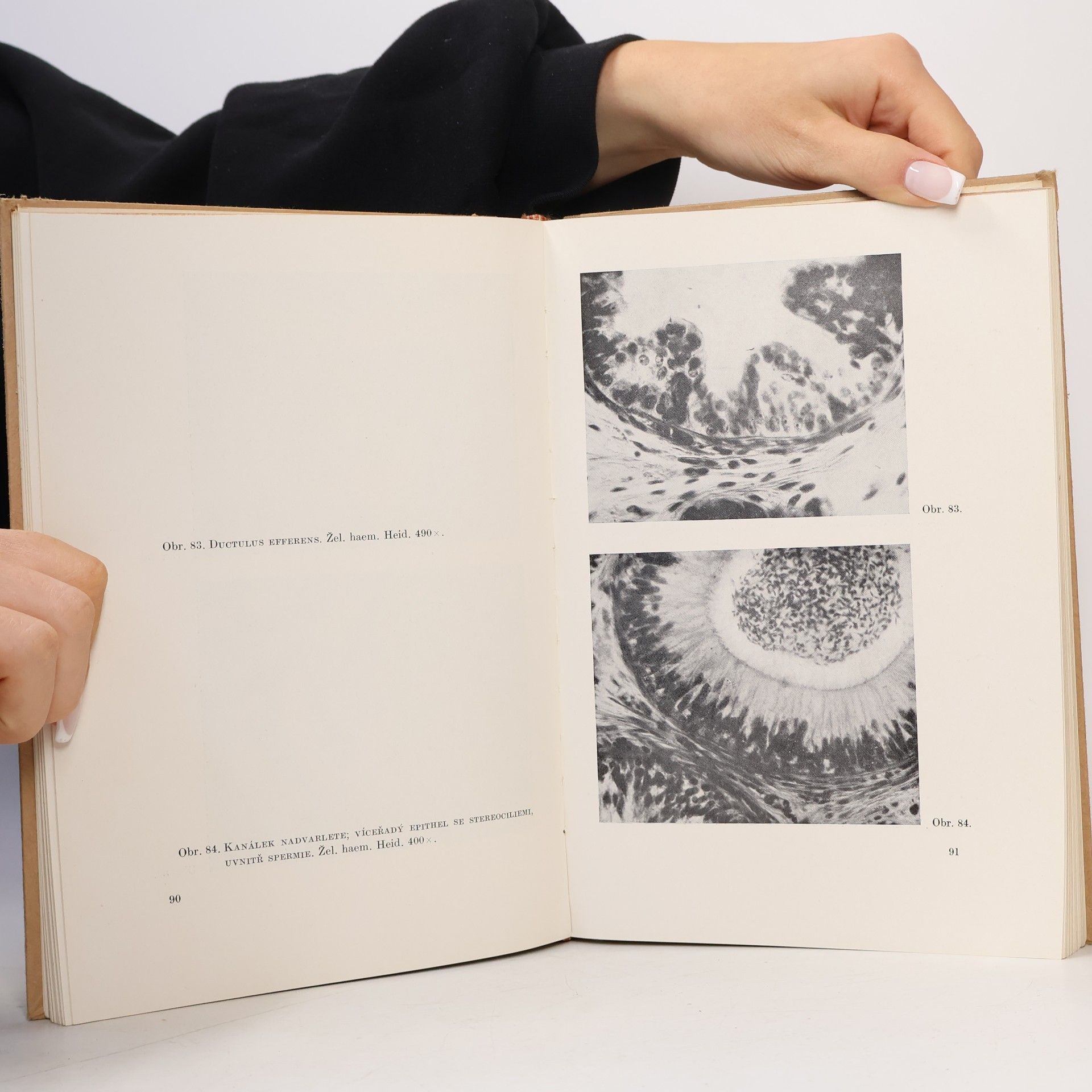 Zdeněk Frankenberger Atlas mikroskopické anatomie člověka