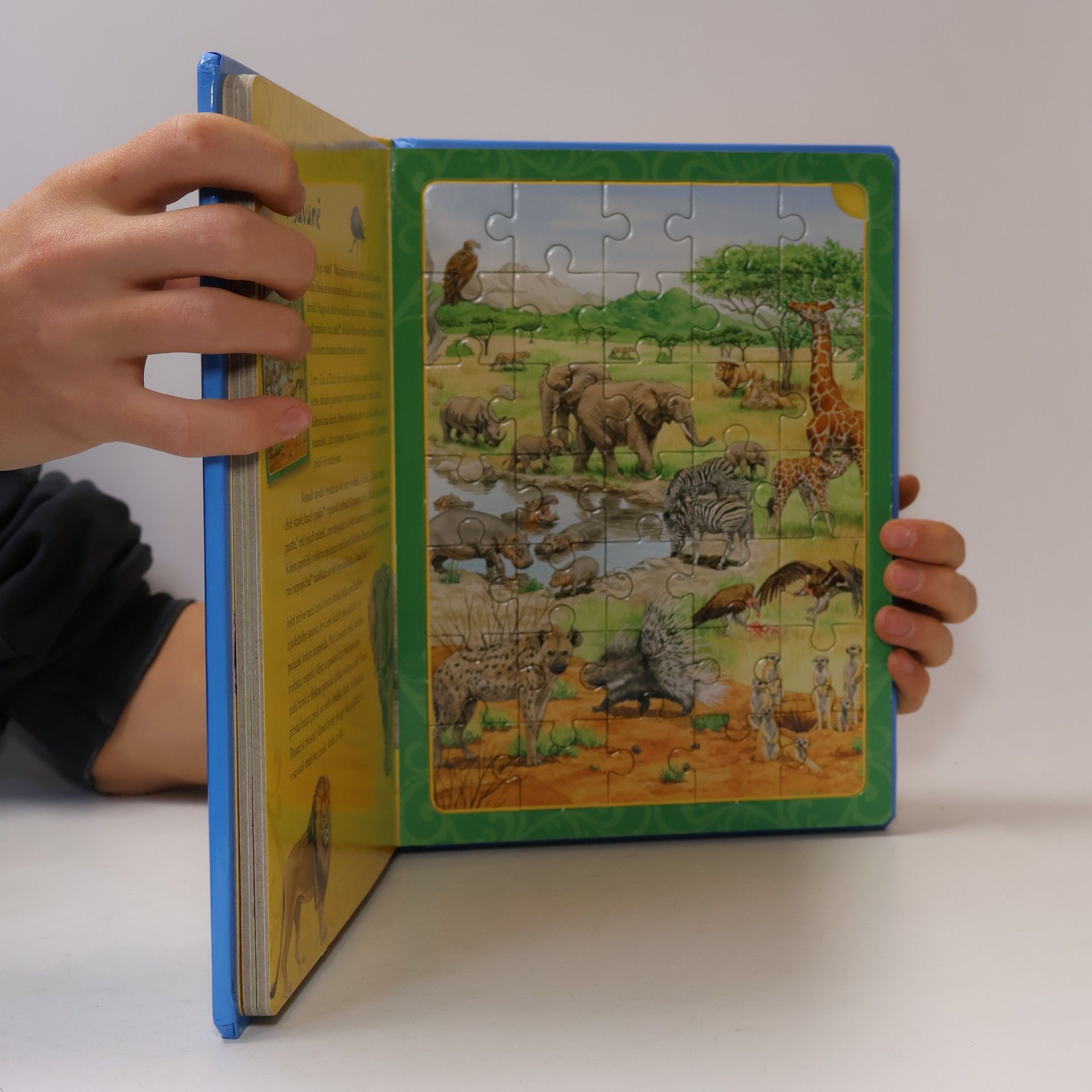 Various authors Moje obrázková knížka s puzzle