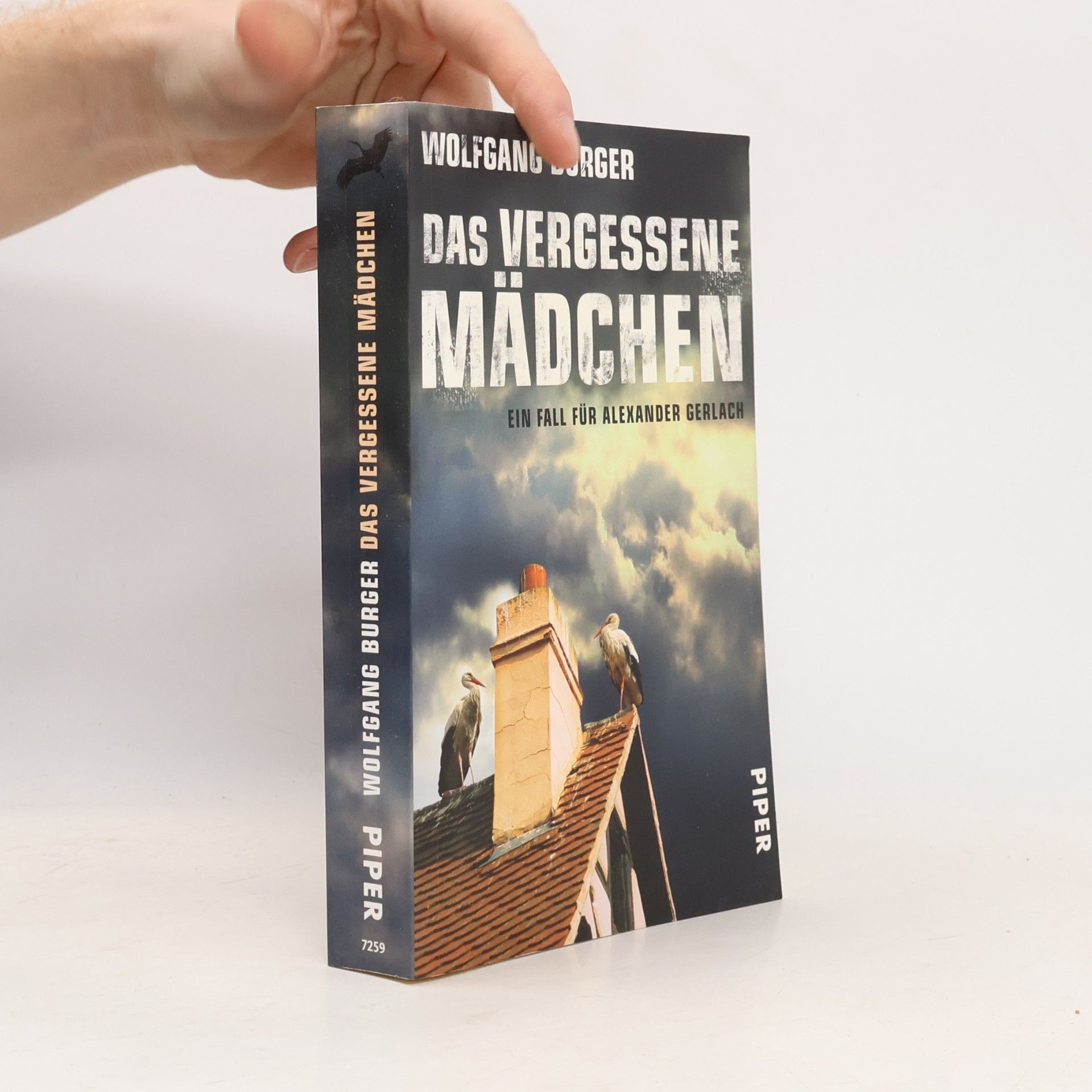 Das vergessene Mädchen