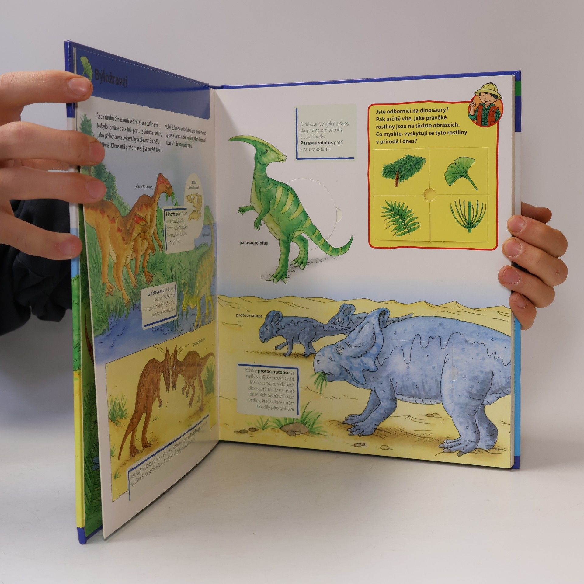 Lisa Maurer Chytrá hlavička: Dinosauři (otevírací okénka)