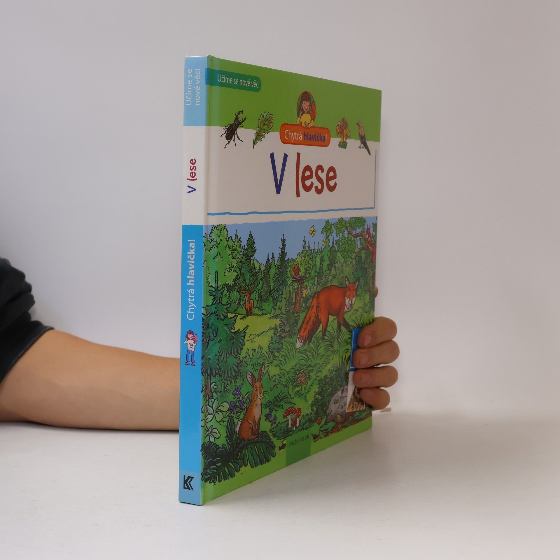 V lese