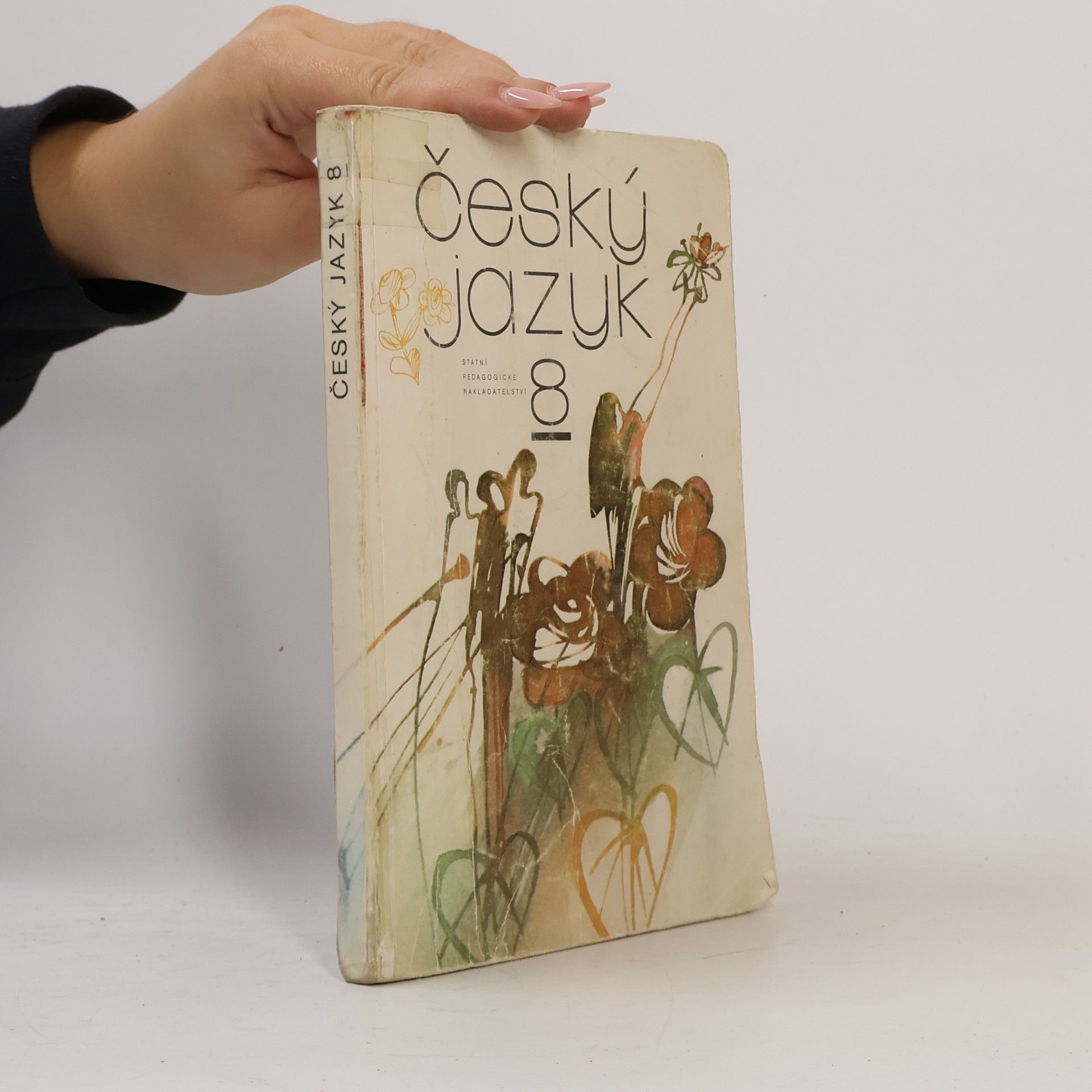 Vlastimil Styblík Český jazyk pro 8. ročník základní školy